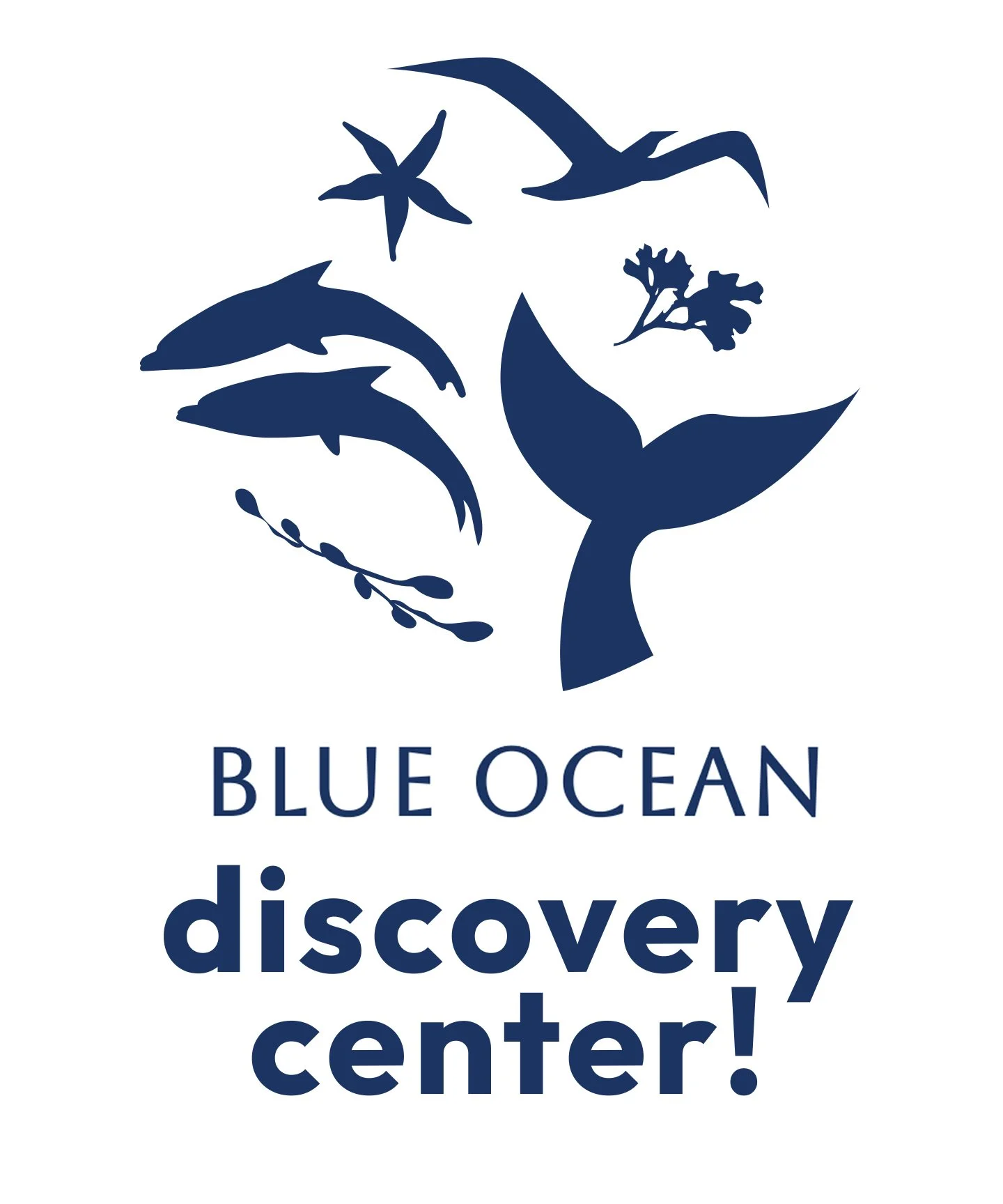 Blue Ocean Discovery Center logo featuring silhouettes of dolphins, a whale, and marine plants with the text 'BLUE OCEAN discovery center'.
