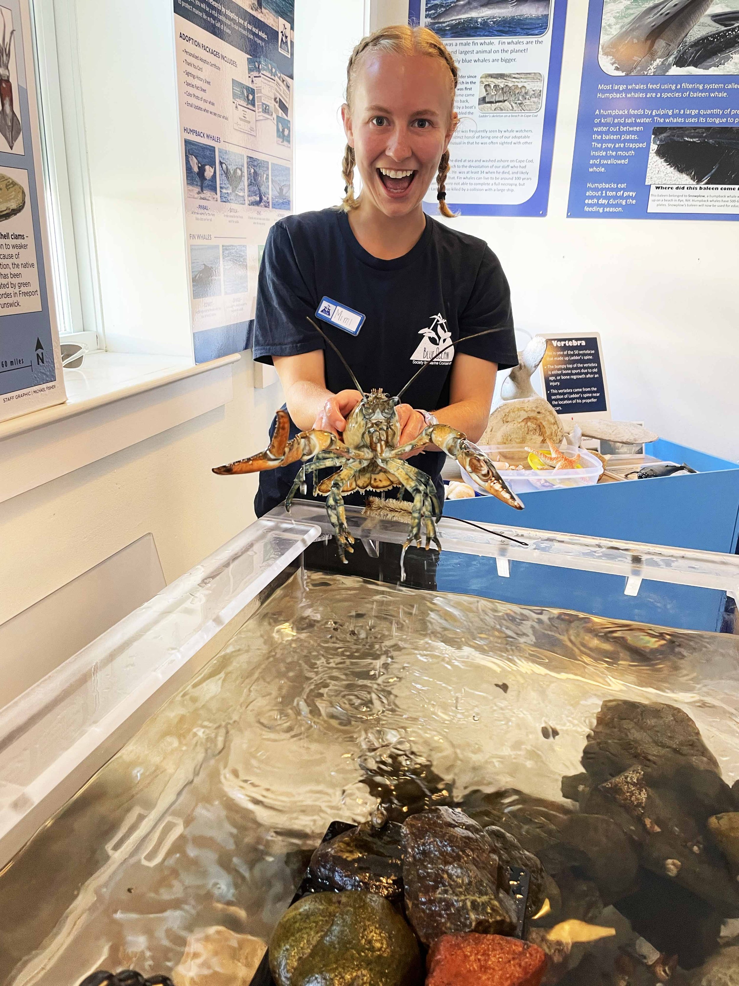 A young woman with braided hair smiling and holding a large lobster in front of informational posters about whales and marine life at an indoor exhibit.