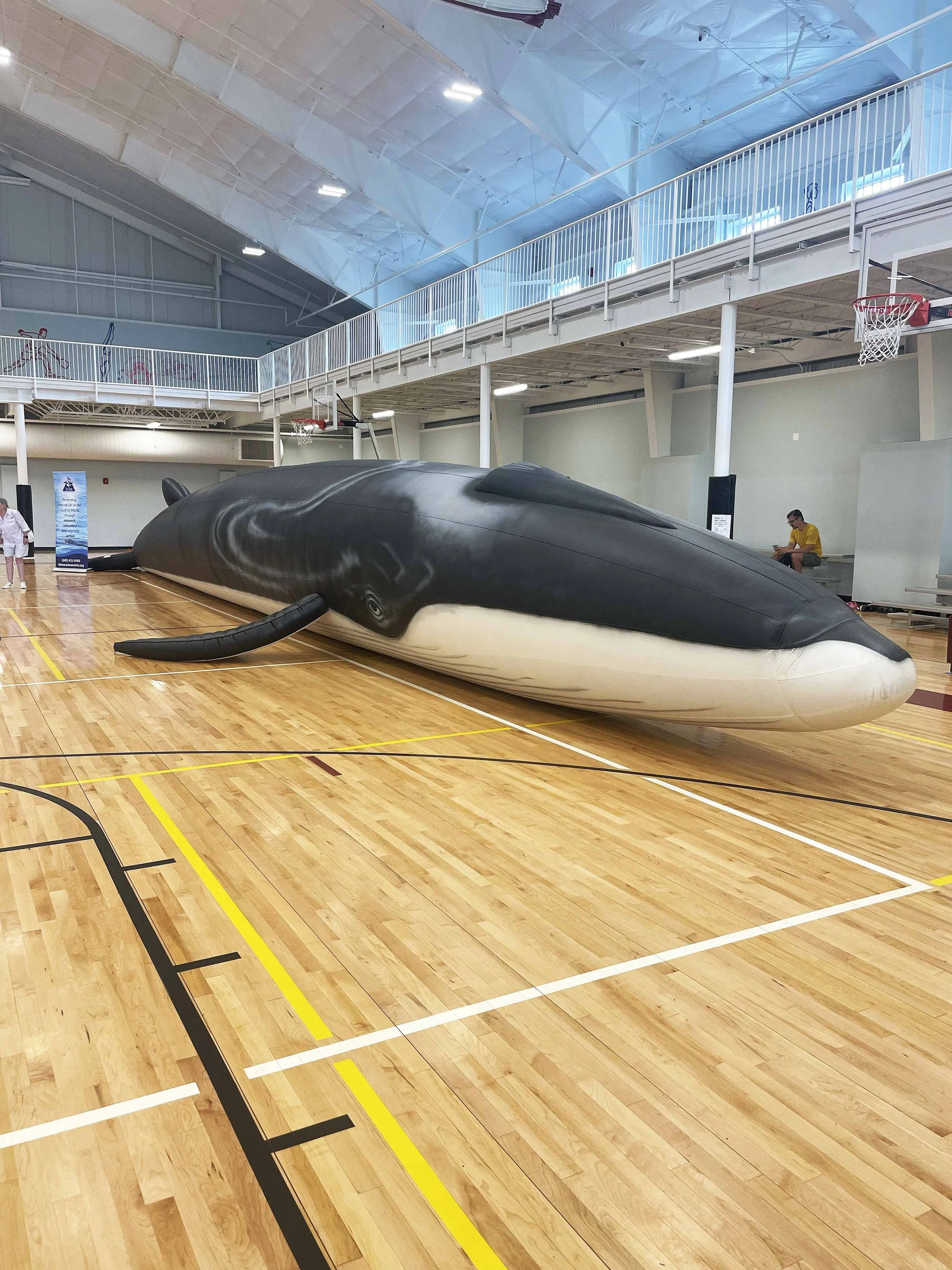 A large indoor gymnasium with a whale-shaped inflatable or sculpture on the wooden court. There are basketball hoops, a person sitting on the bleachers, and a child standing near a blue sign.