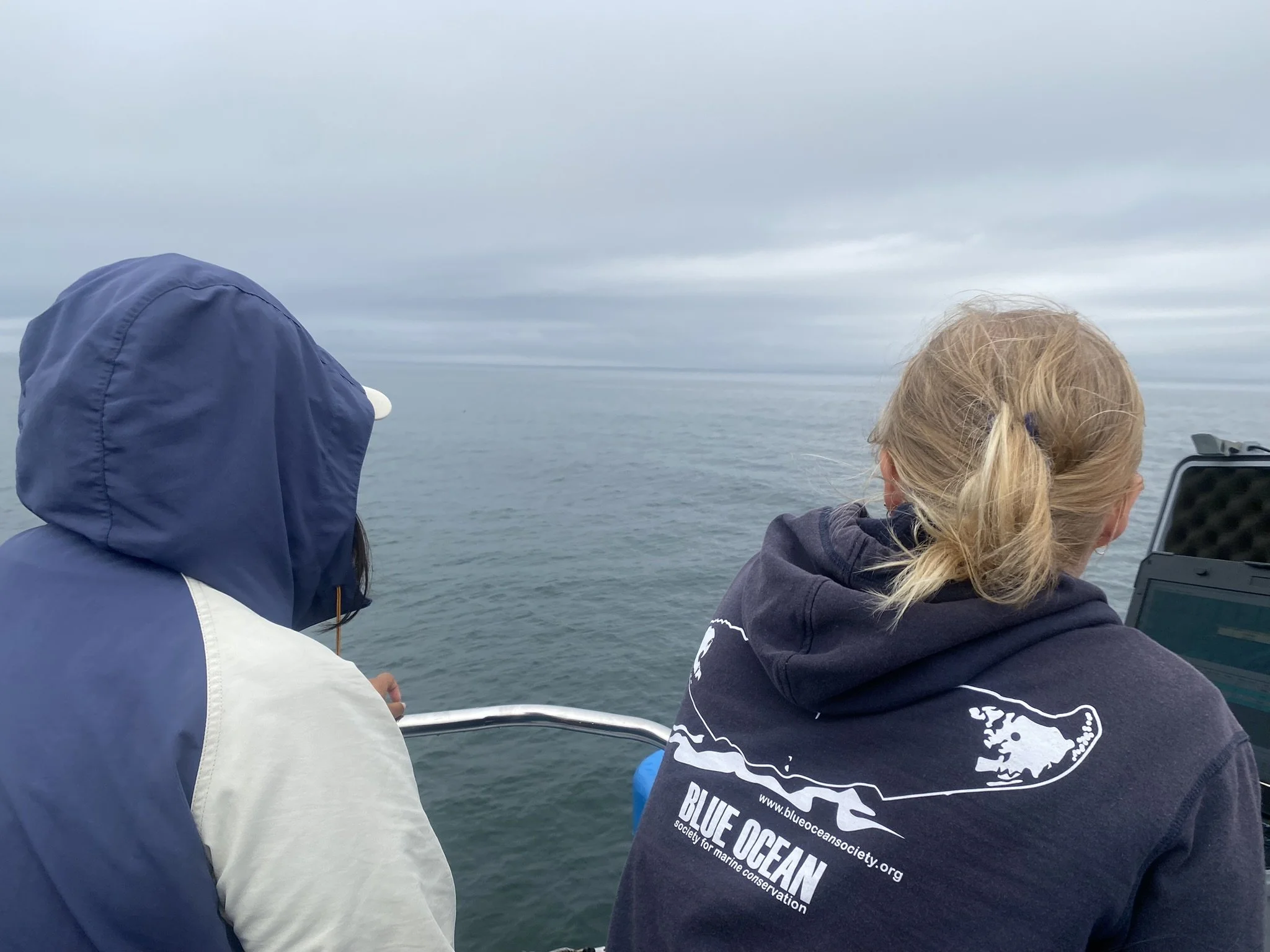People on a boat looking at the ocean on a cloudy day.
