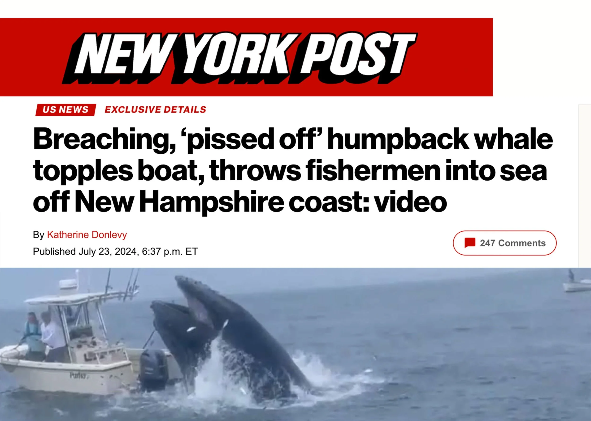 A boat with a Humback whale breaching the surface of the water, throwing fishermen into the sea off the coast of New Hampshire, with the headline from the New York Post about the incident.