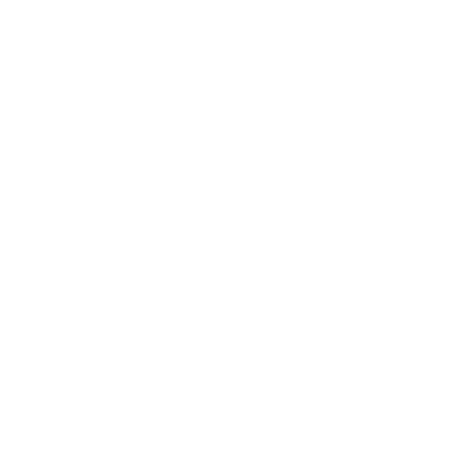 A black and white logo featuring a stylized seagull in flight with its wings extended.
