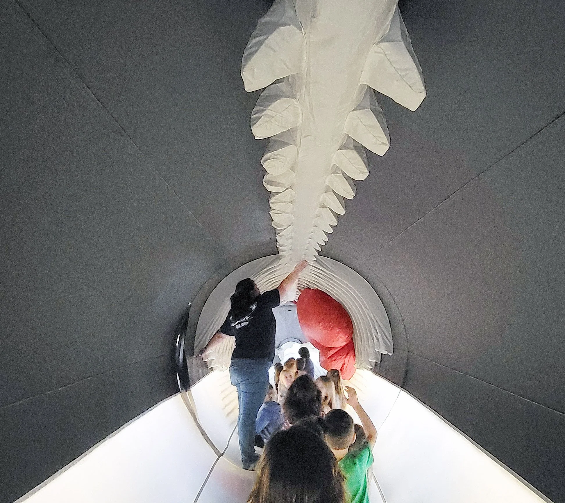 People walking through a long, spiral corridor with white, cloud-shaped light fixtures hanging from the ceiling.