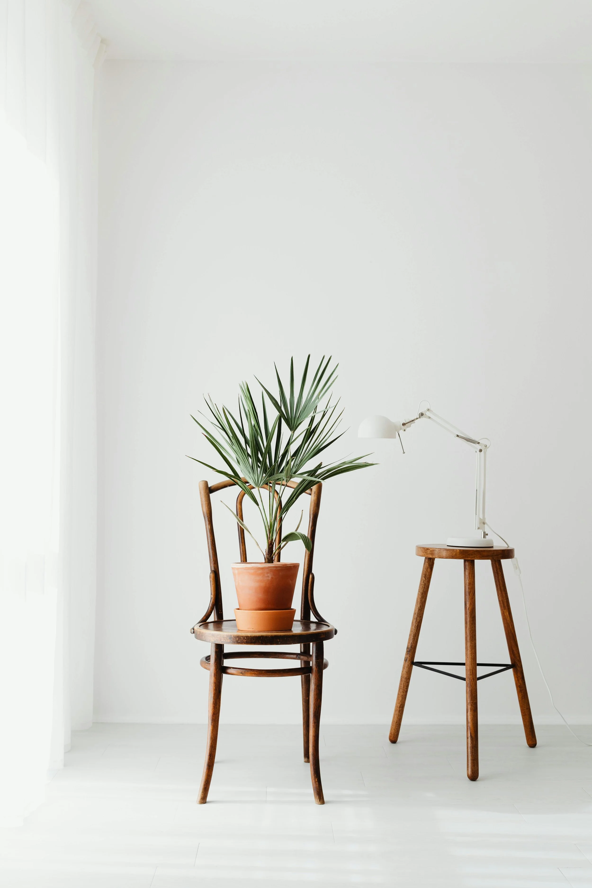 Minimalist interior with a potted plant on a wooden chair and a white desk lamp on a high wooden stool, set against a plain white wall.