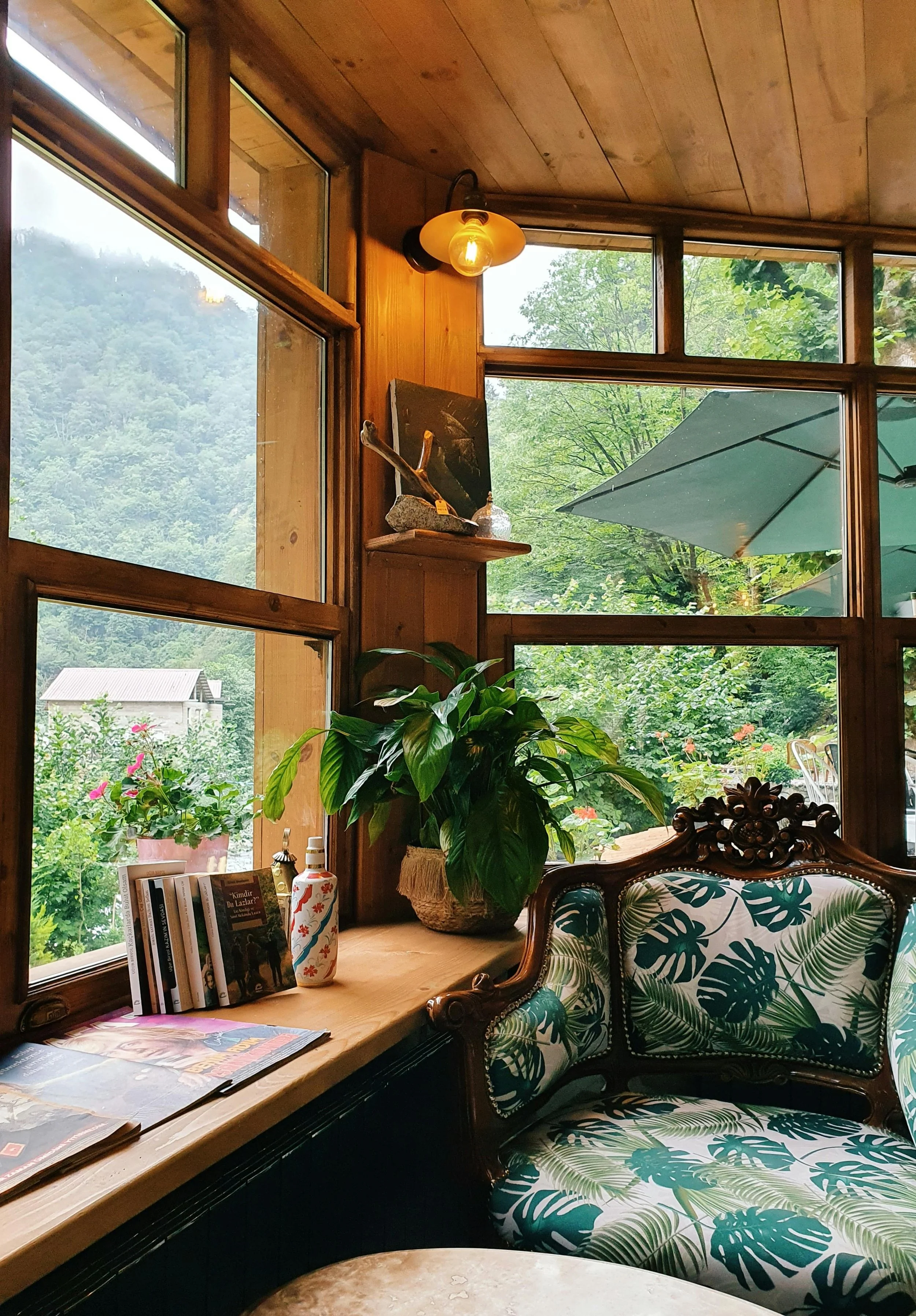 Interior of a cozy rustic room with large windows showing lush green trees outside. A wooden shelf holds a painting, rocks, and decorative items. An ornate wooden chair with tropical leaf cushions is visible, along with a large leafy plant on the table. A string of books and a bottle are also on the table near the window.