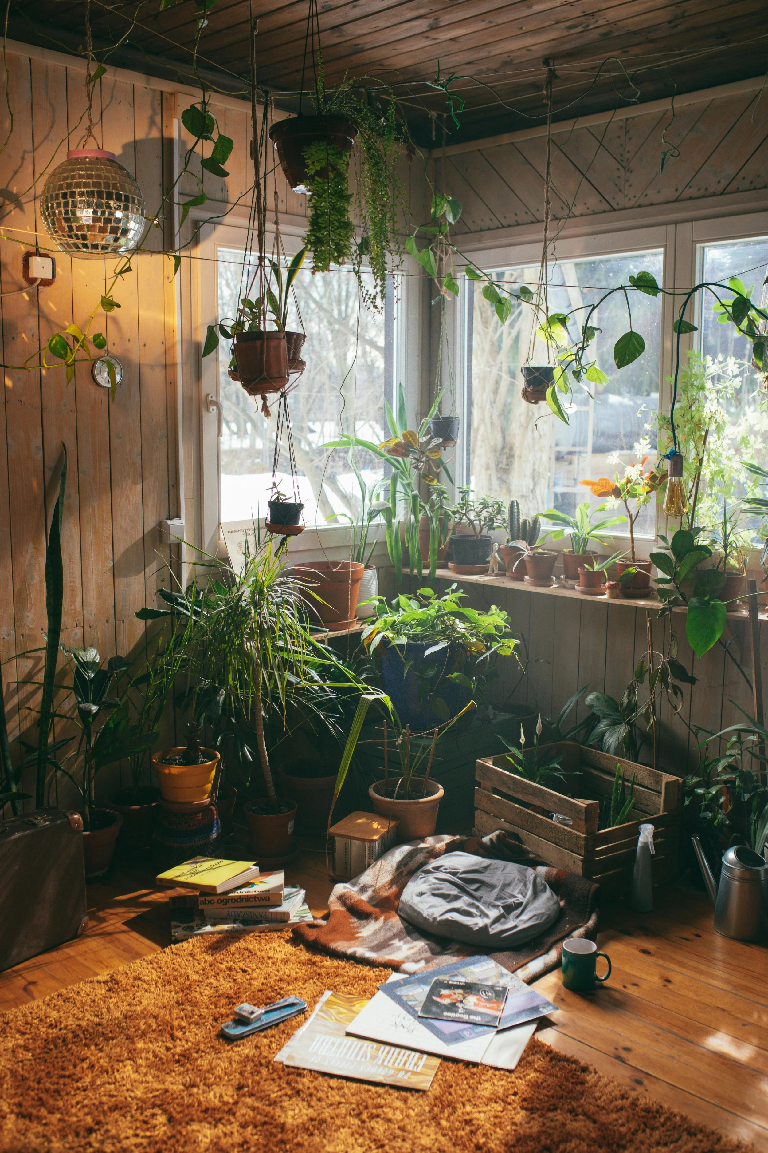 A cozy indoor garden space with numerous potted plants hanging and placed on shelves by a large window, with sunlight streaming in. The space includes a disco ball, books, magazines, a yellow carpet, and some clothes and cups on the wooden floor.