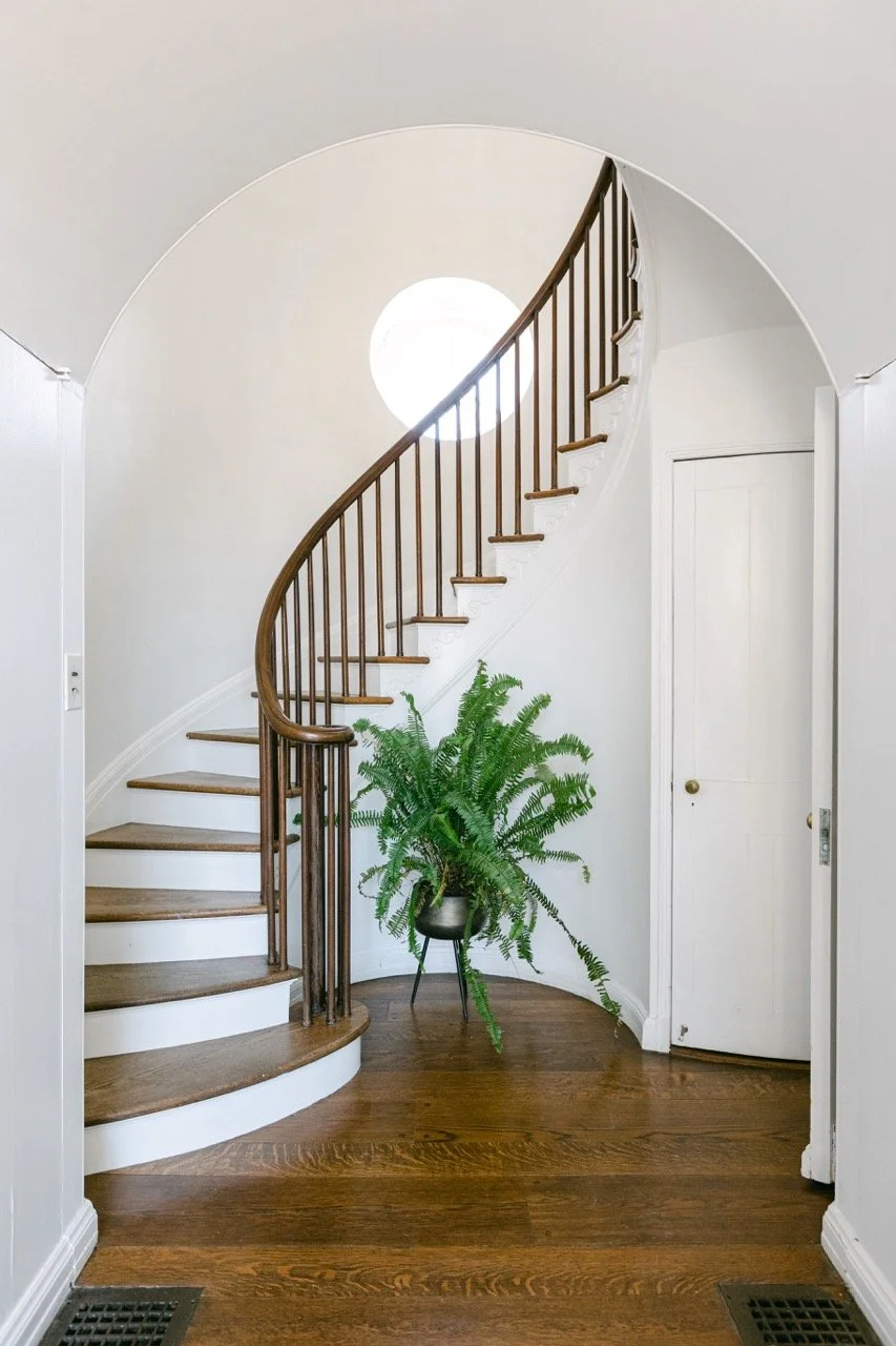Interior view of a home with a curved staircase, white walls, wooden flooring, a potted fern, and a door.