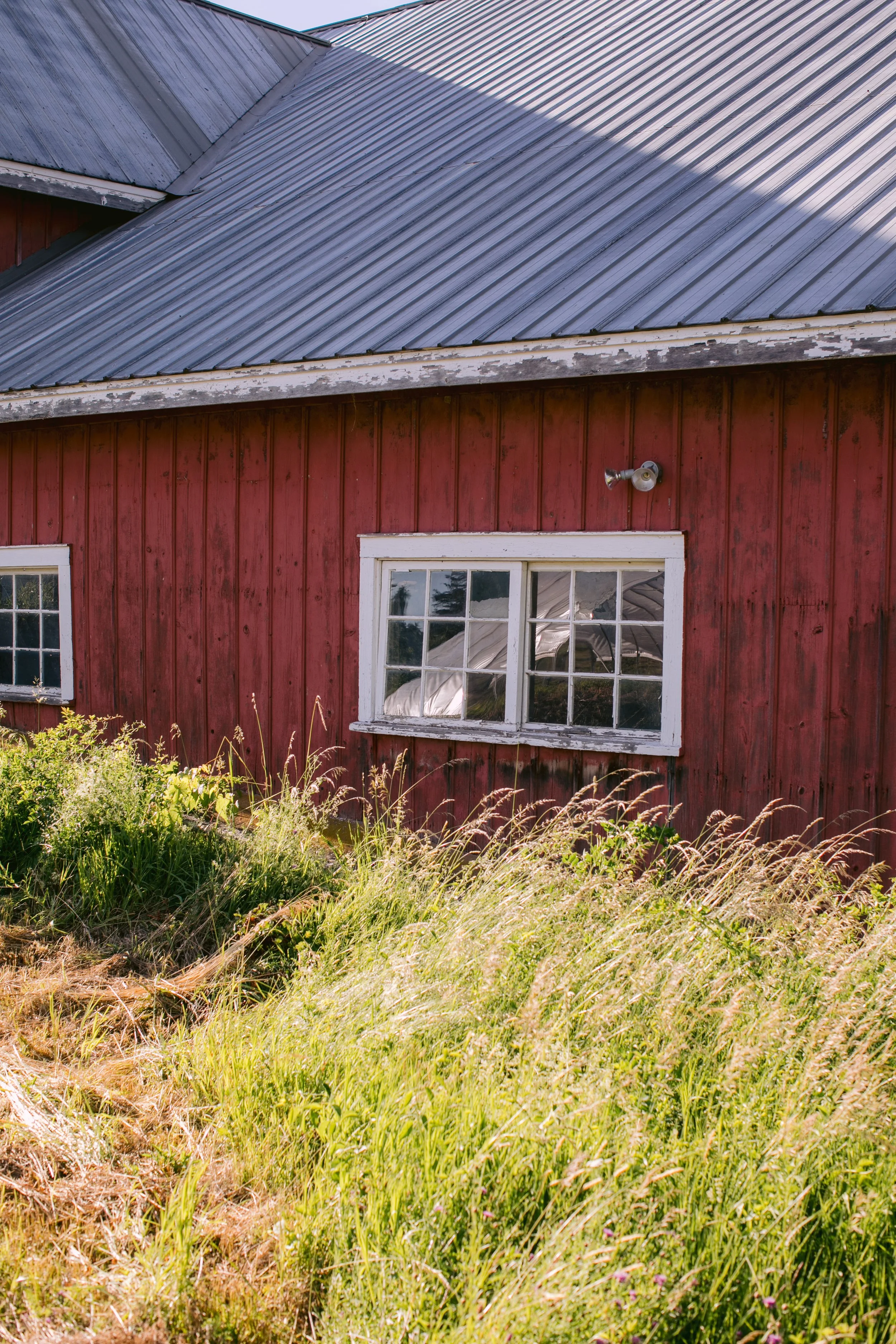 1309_260616.jpg