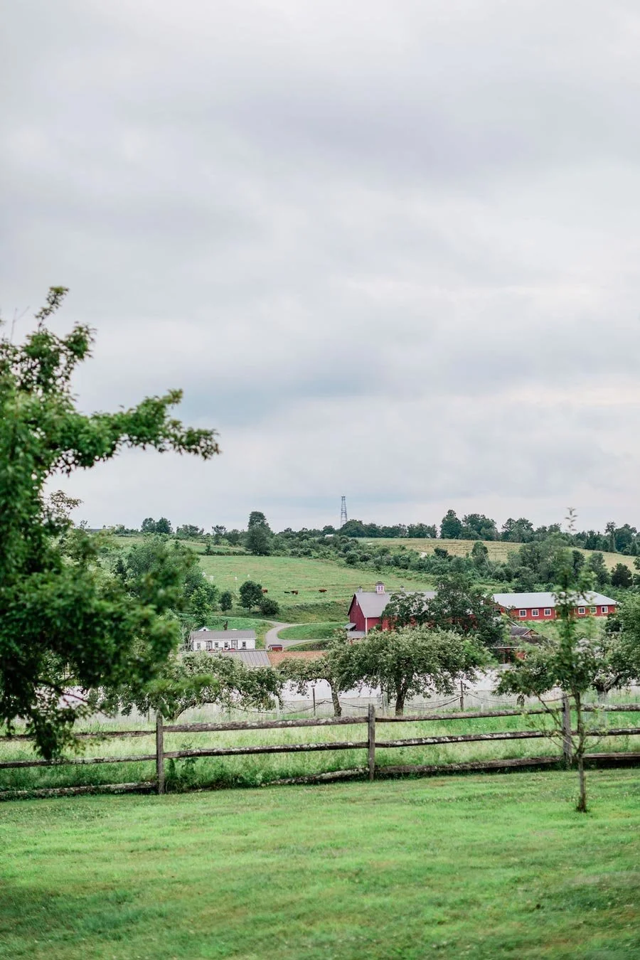 C&amp_AWedding-1738.jpg