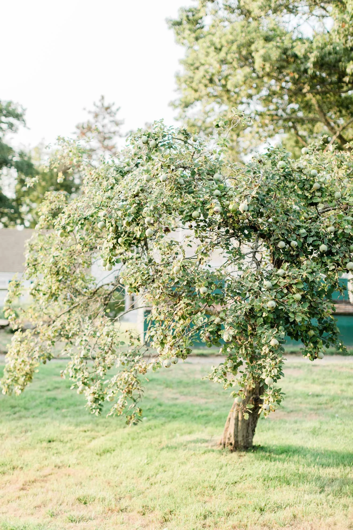 S&amp_M_Wedding-1087.jpg