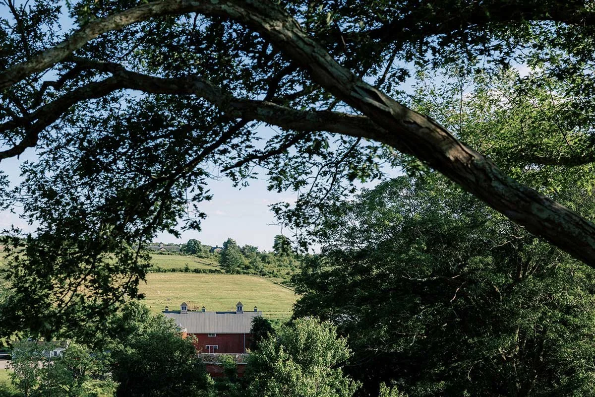 A view through tree branches shows a green hillside and a red barn with a metal roof in the distance.