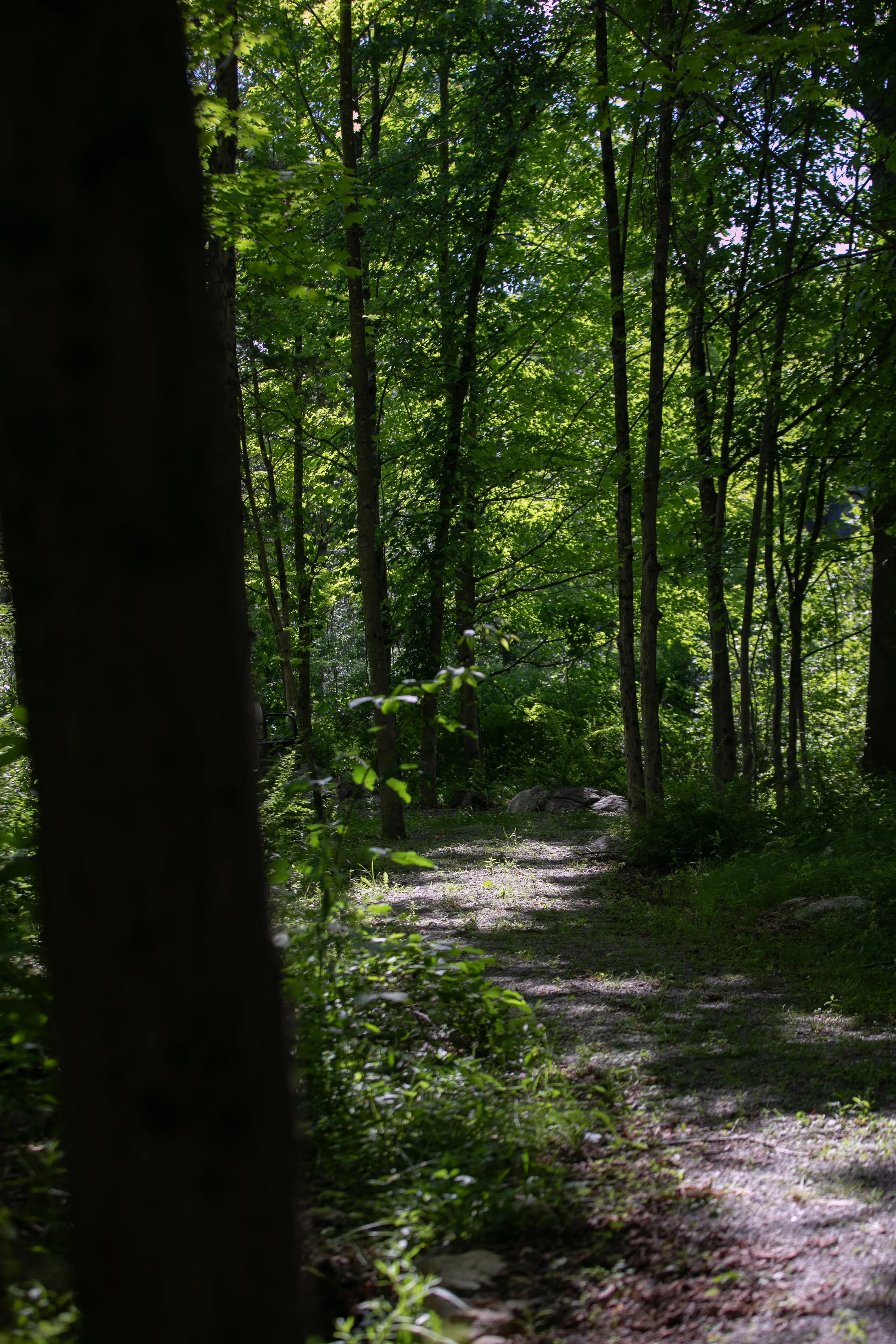 0469_260616.jpg