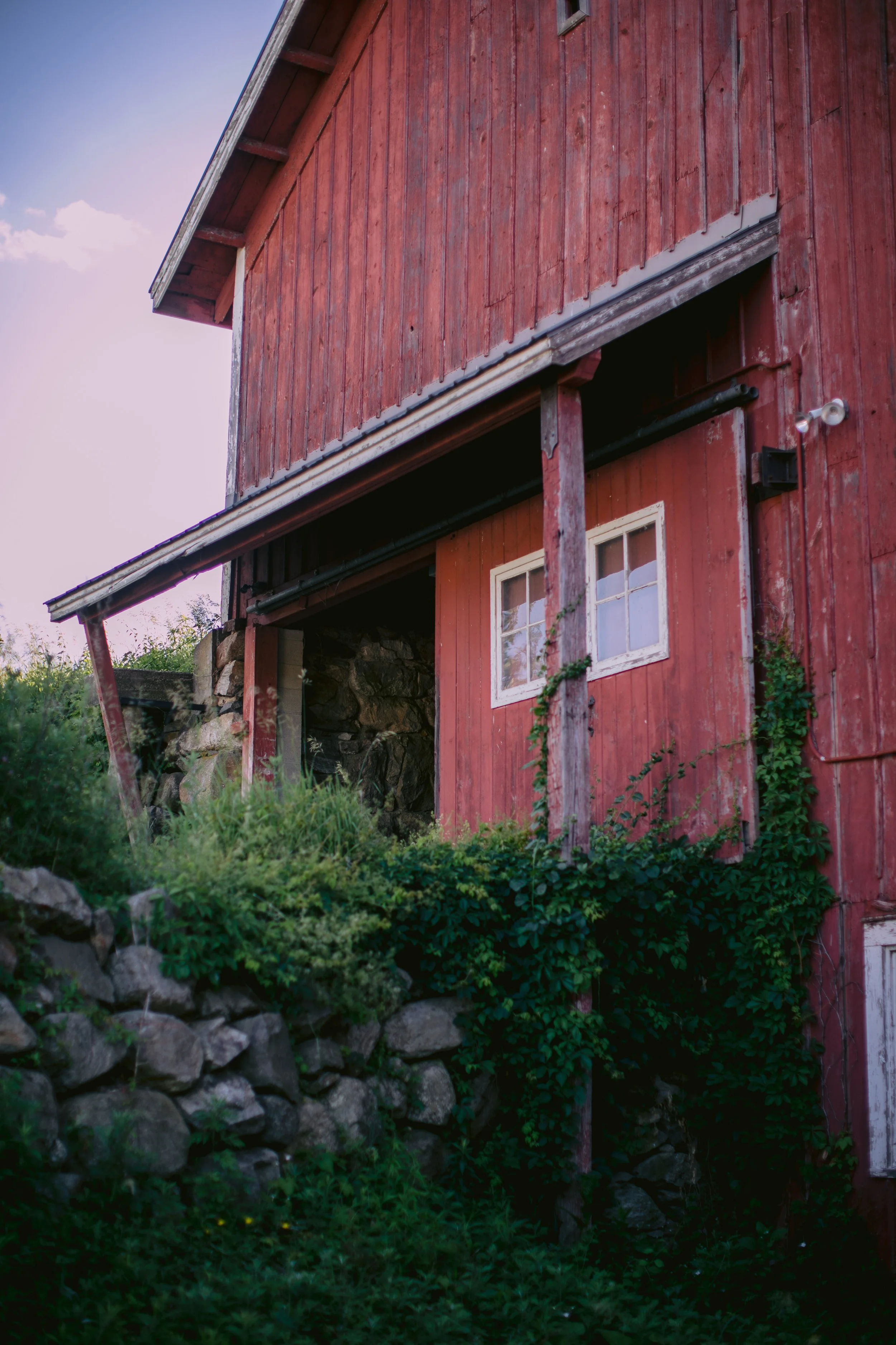 1346_260616.jpg
