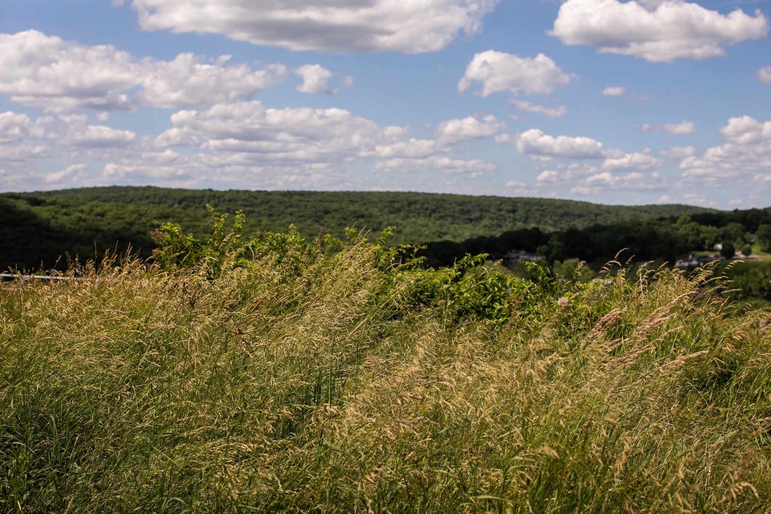 0057_260616.jpg