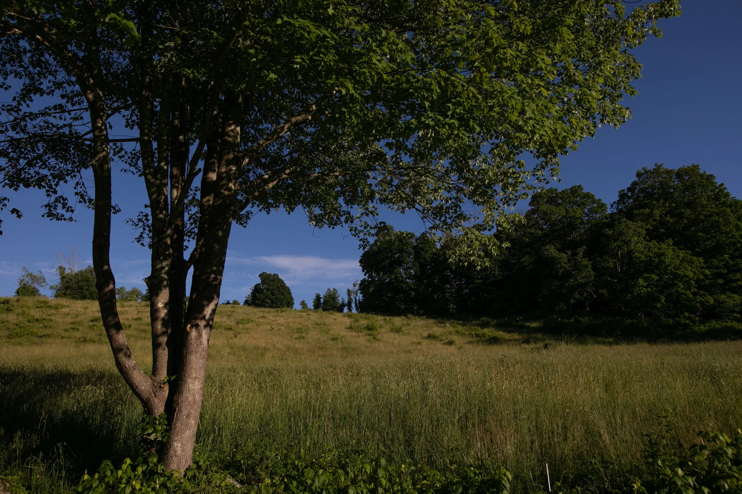 1484_260616.jpg