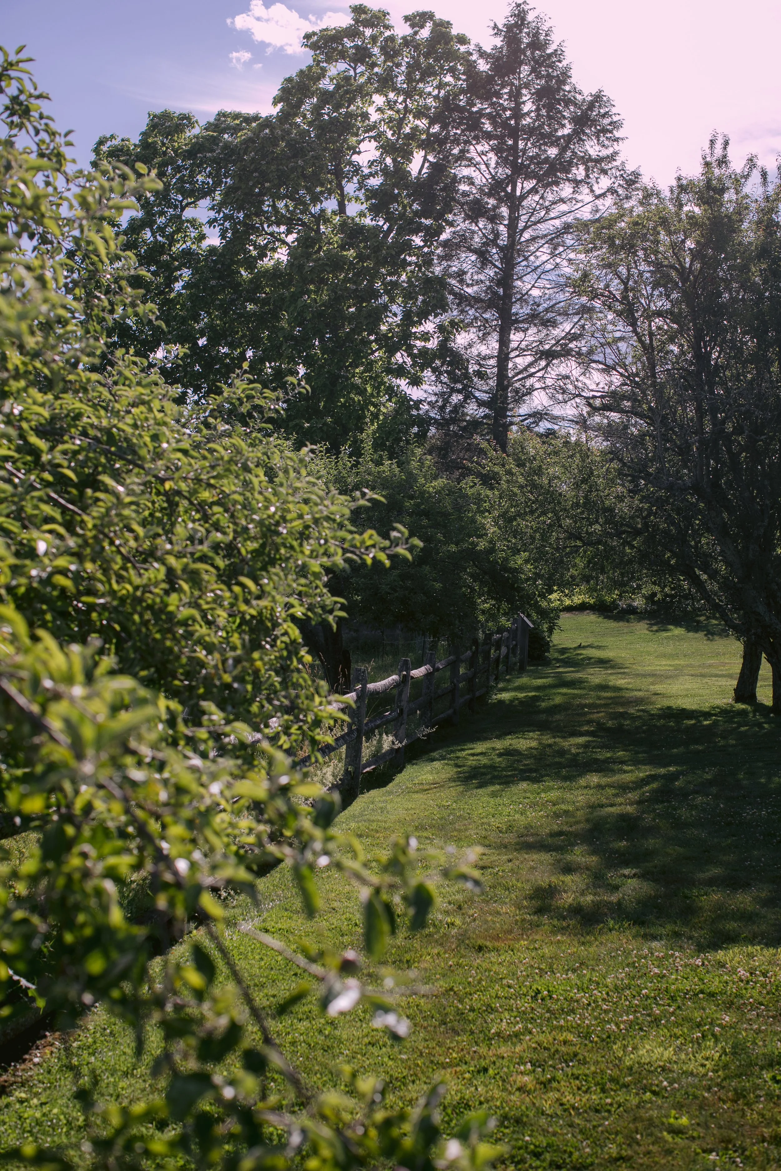 1120_260616.jpg