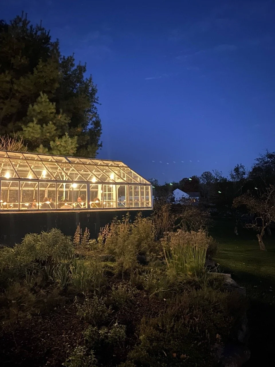A glass greenhouse with interior lighting, set outdoors in a garden during evening, with plants and trees around and a darkening blue sky above.