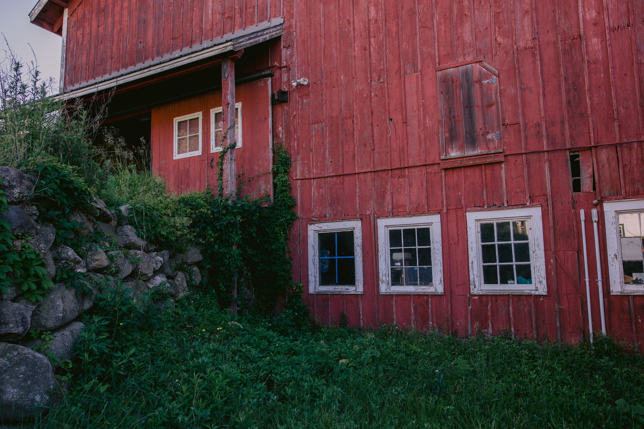 1354_260616.jpg
