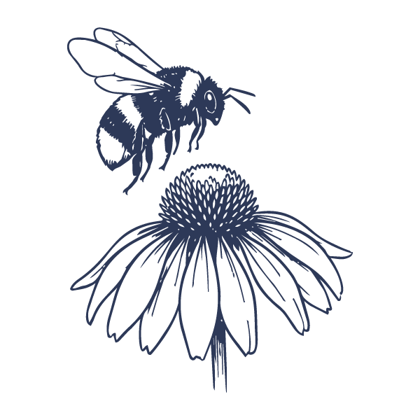 A line drawing of a bee hovering above a flower