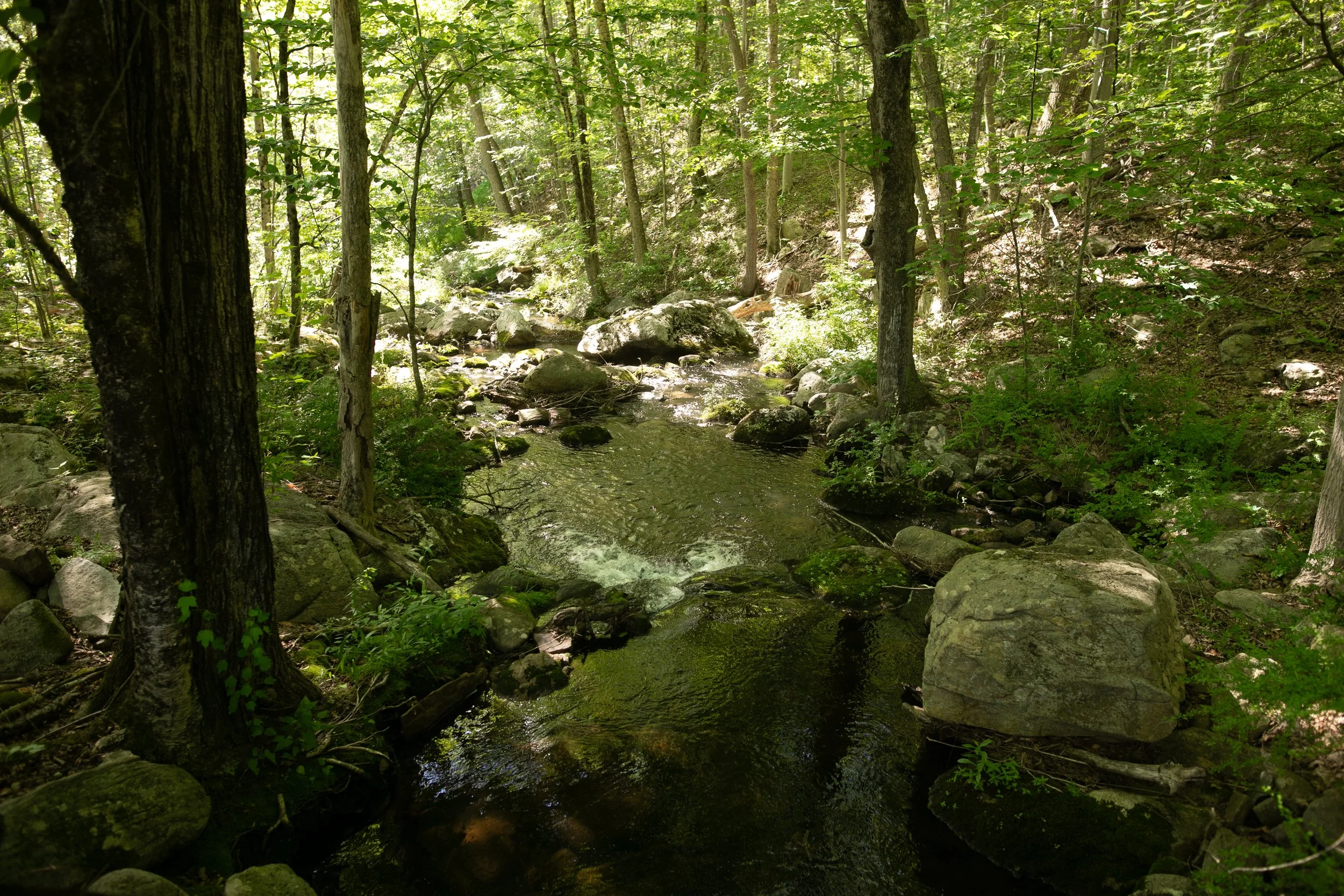 0478_260616.jpg