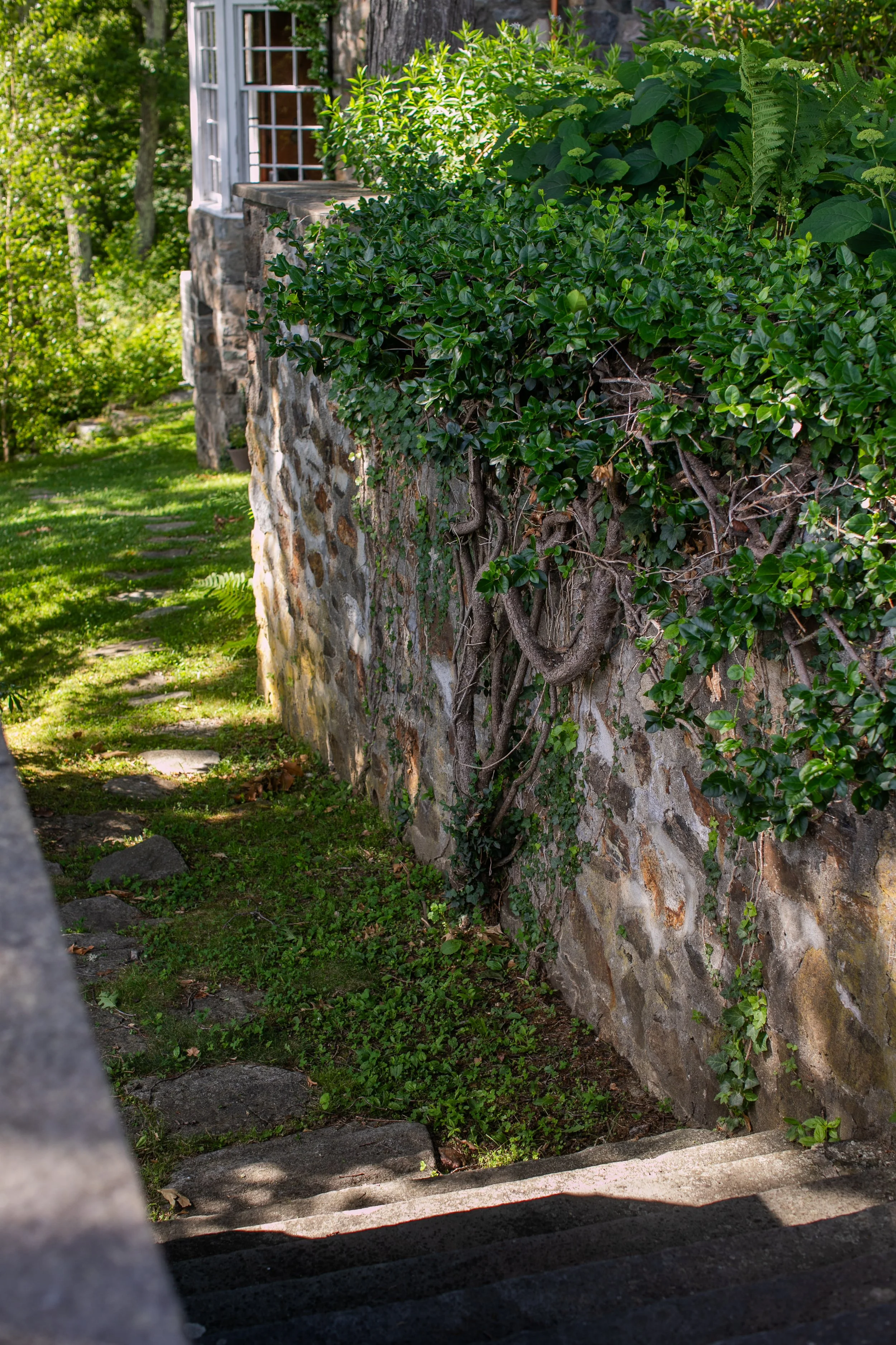 0660_260616.jpg