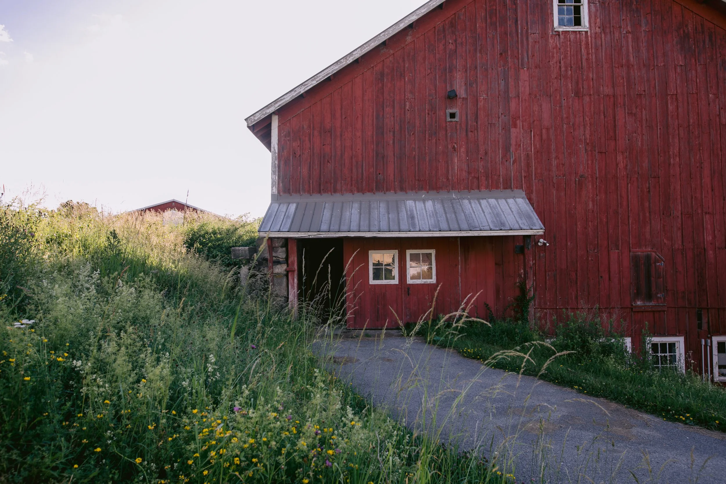 1300_260616.jpg