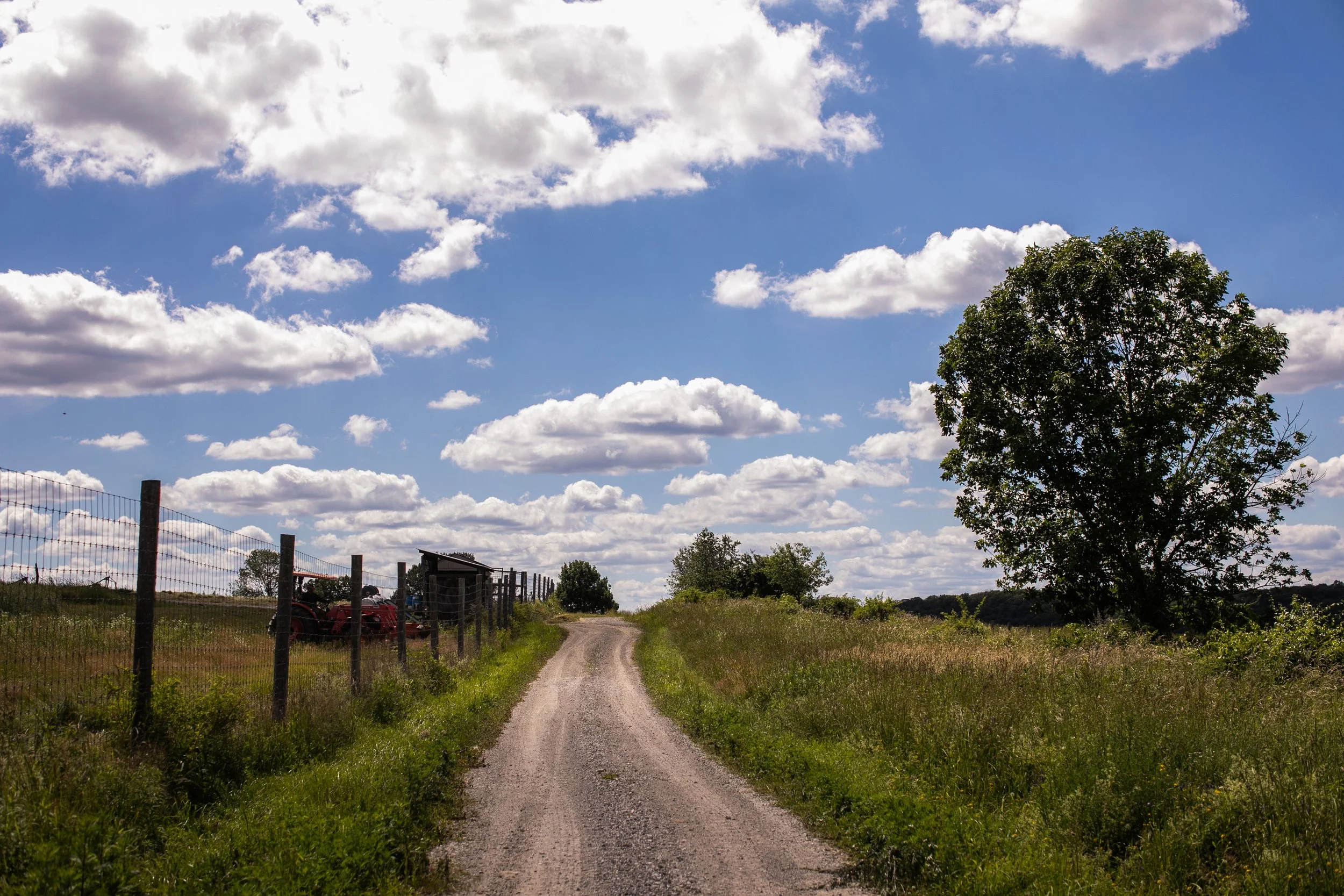 0048_260616.jpg