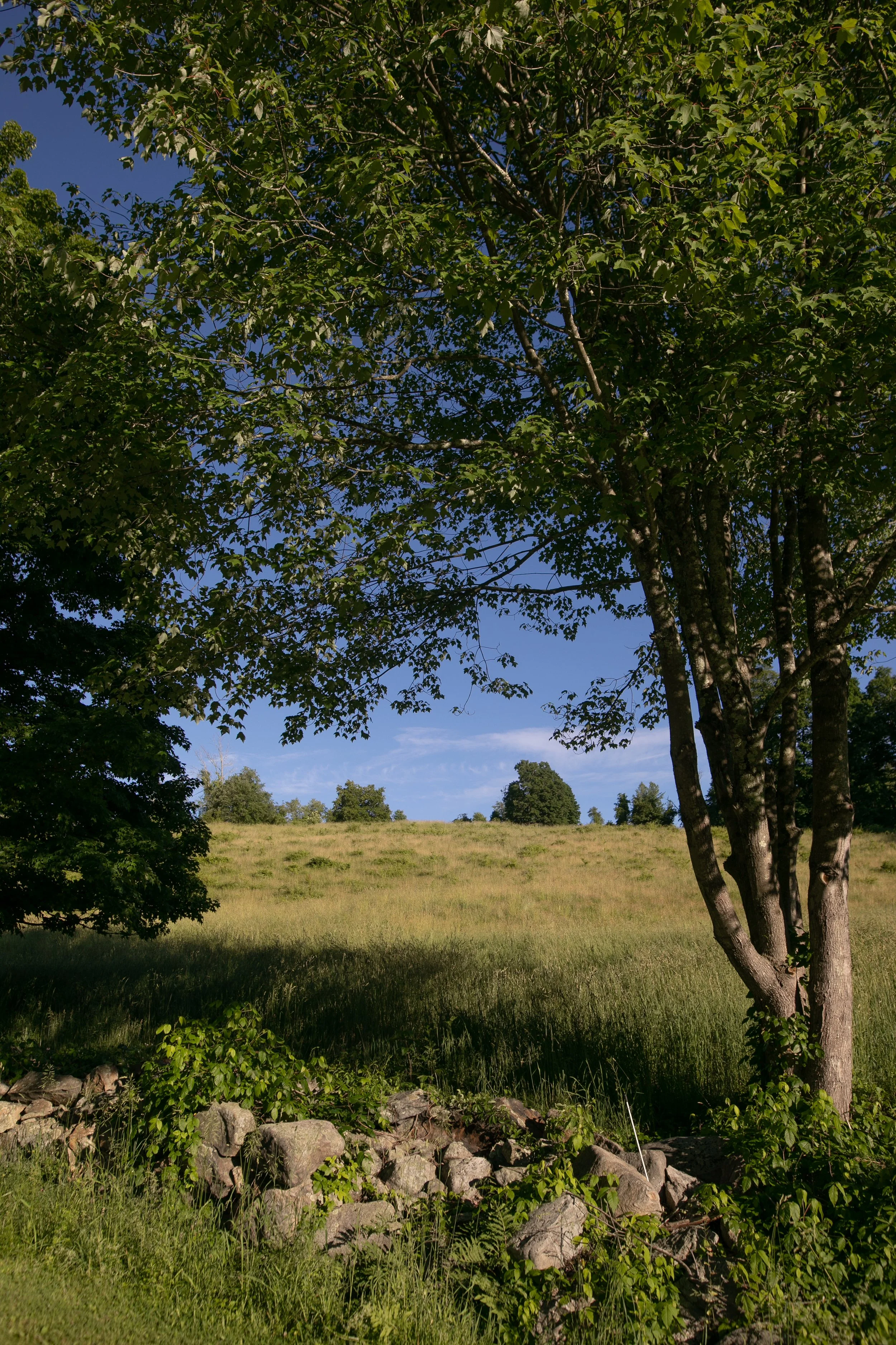 1487_260616.jpg