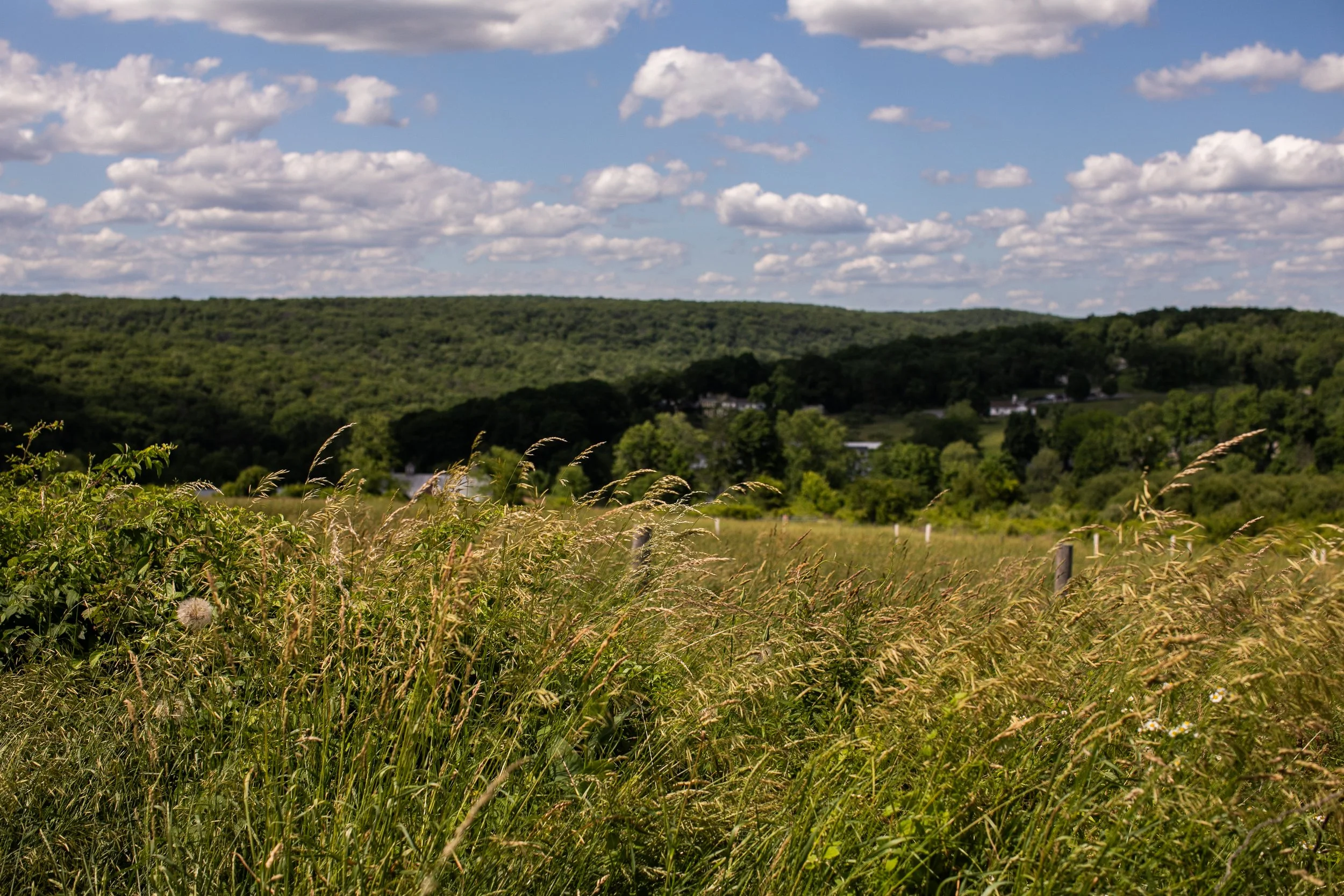 0059_260616.jpg