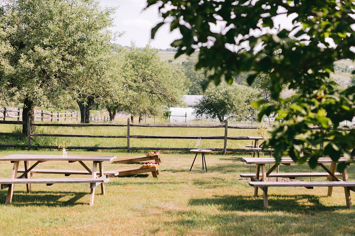 The Orchard | The orchard needs very little introduction and even less decoration. Ancient apple and pear trees create a natural canopy of shade and beauty, with farm views drifting in between the branches. It's the kind of space that makes guests pu