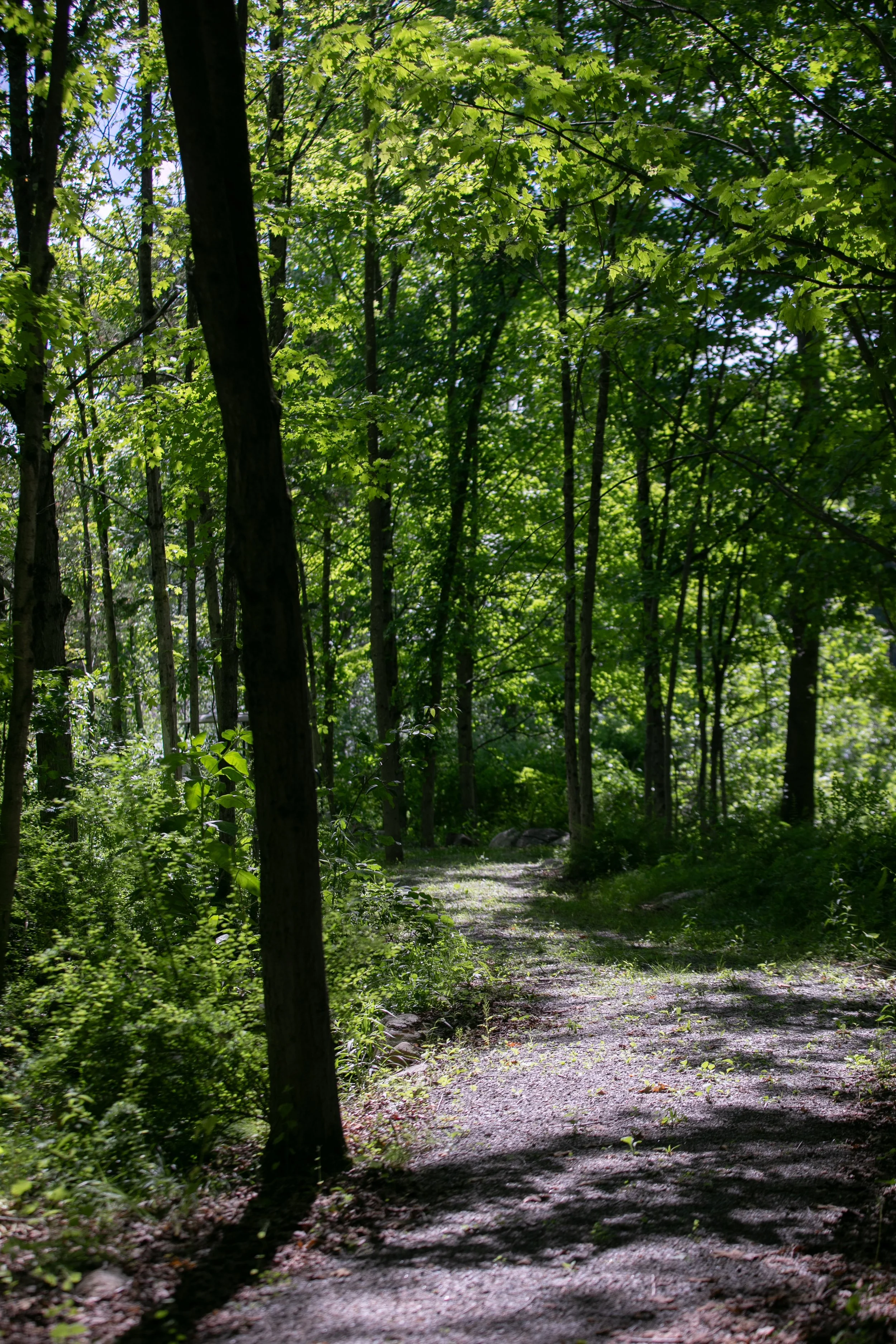 0459_260616.jpg
