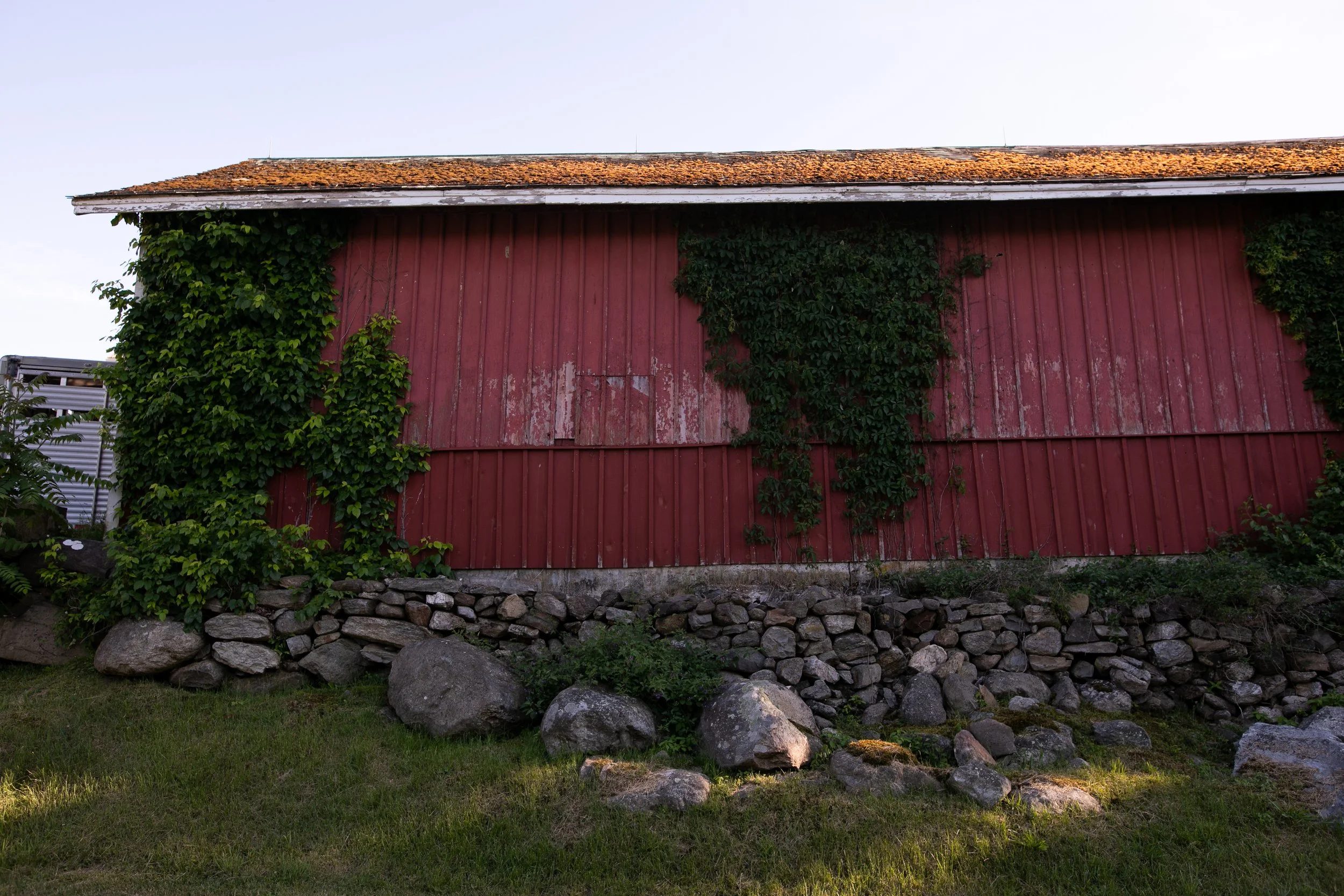 1437_260616.jpg
