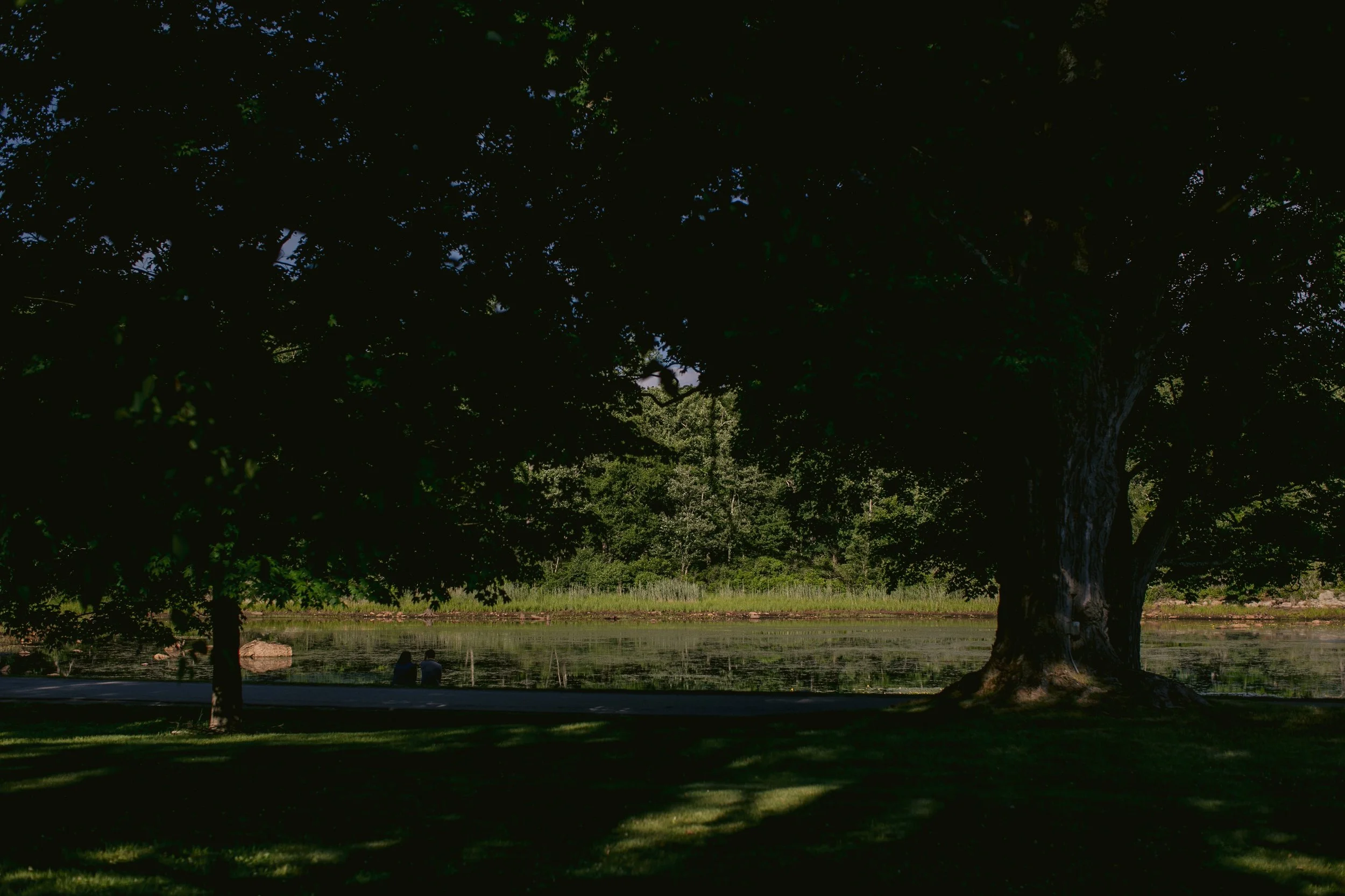 1194_260616.jpg