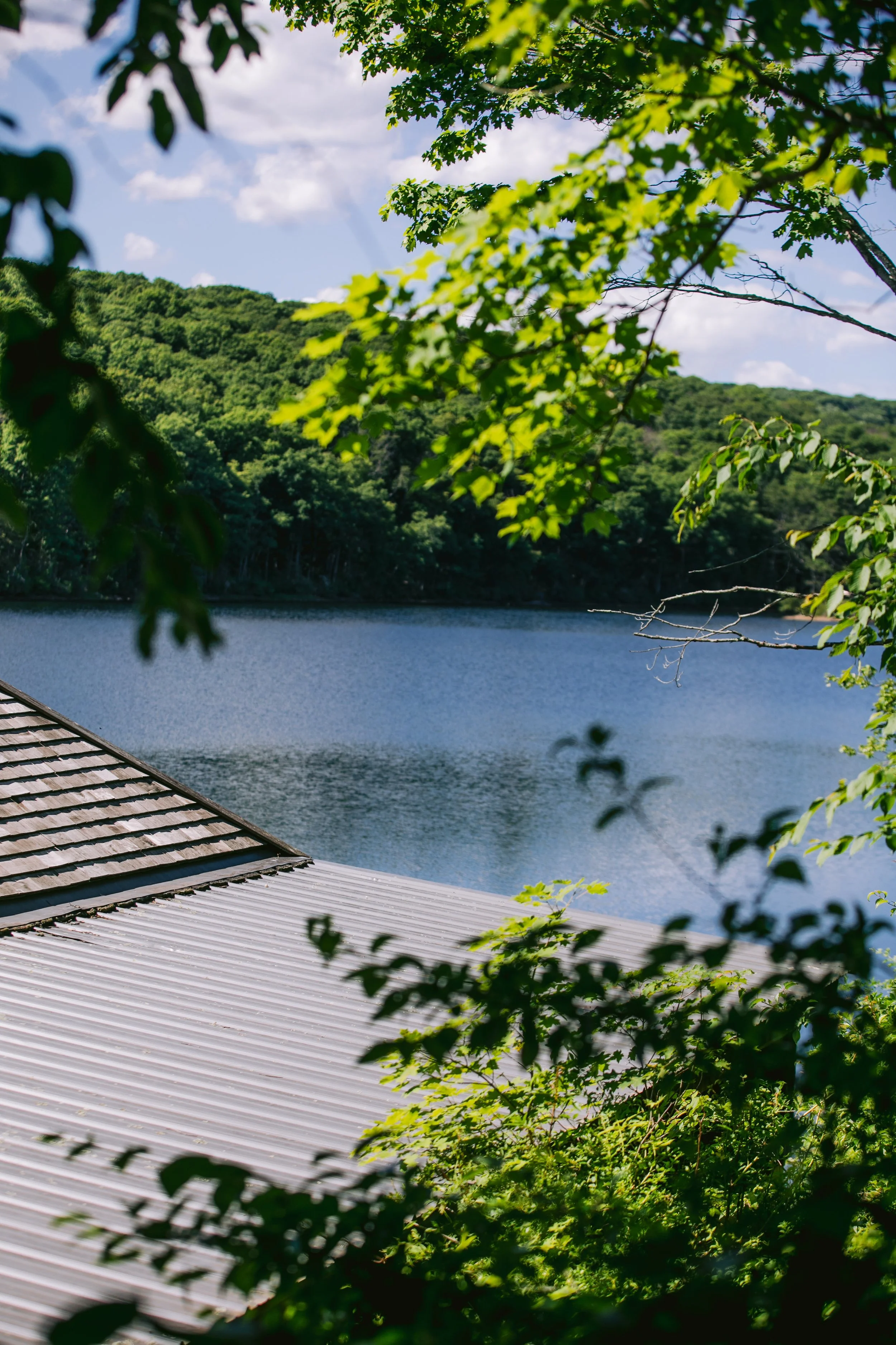 0384_260616.jpg
