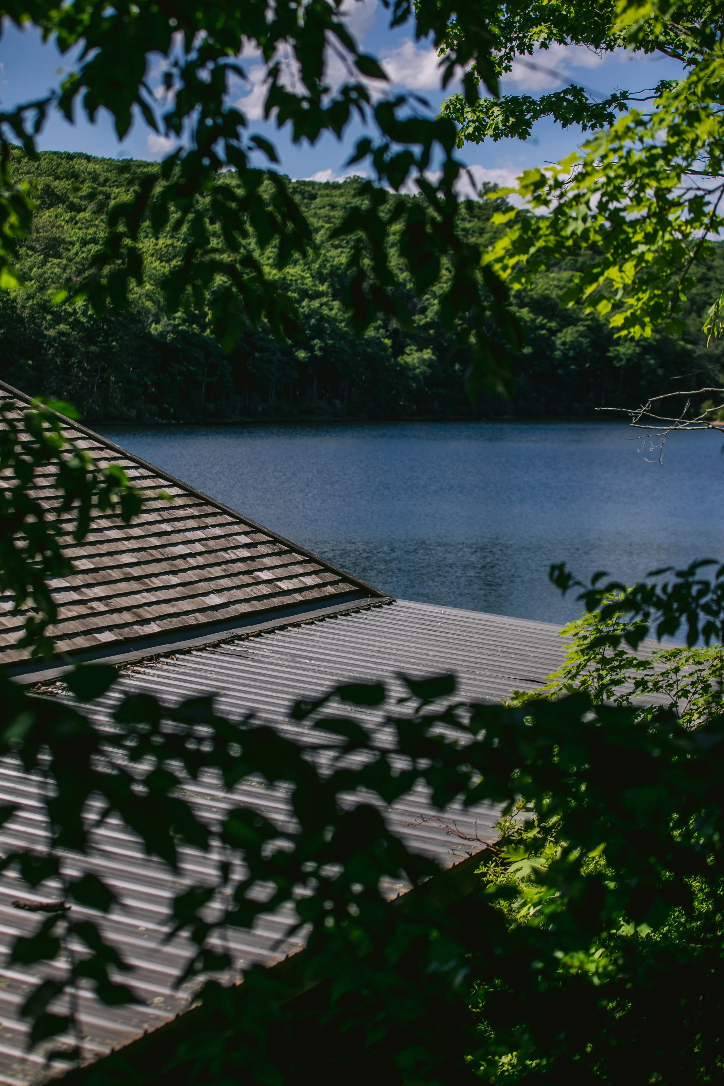 0377_260616.jpg