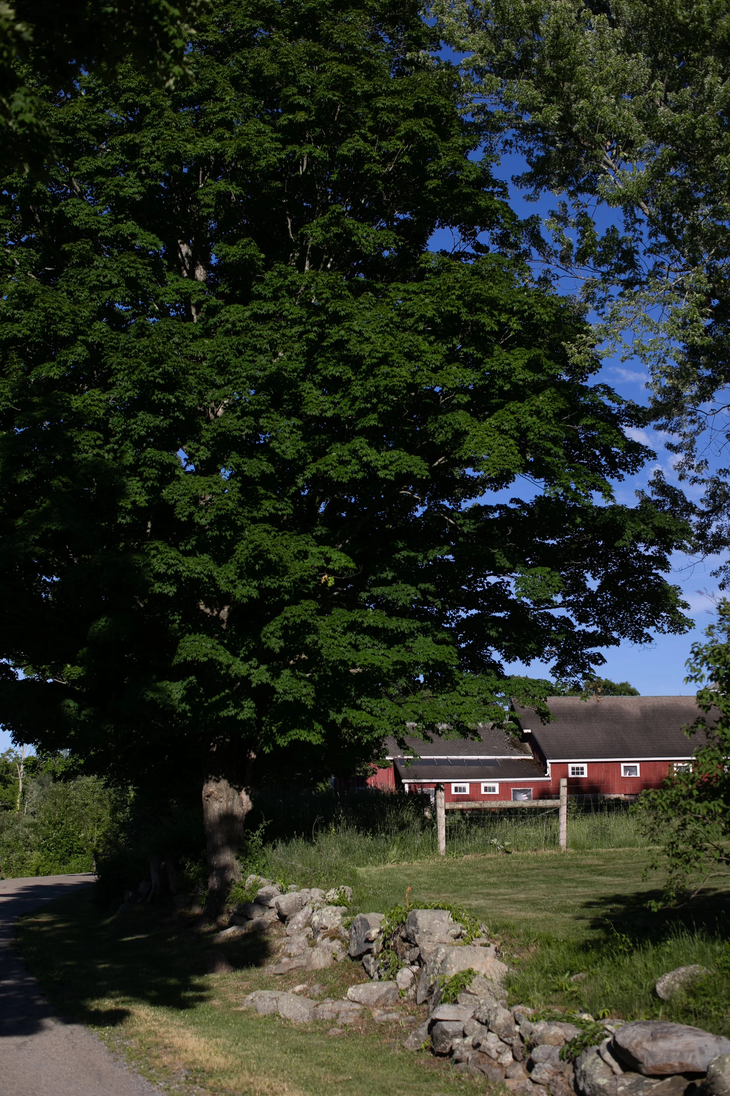 1463_260616.jpg