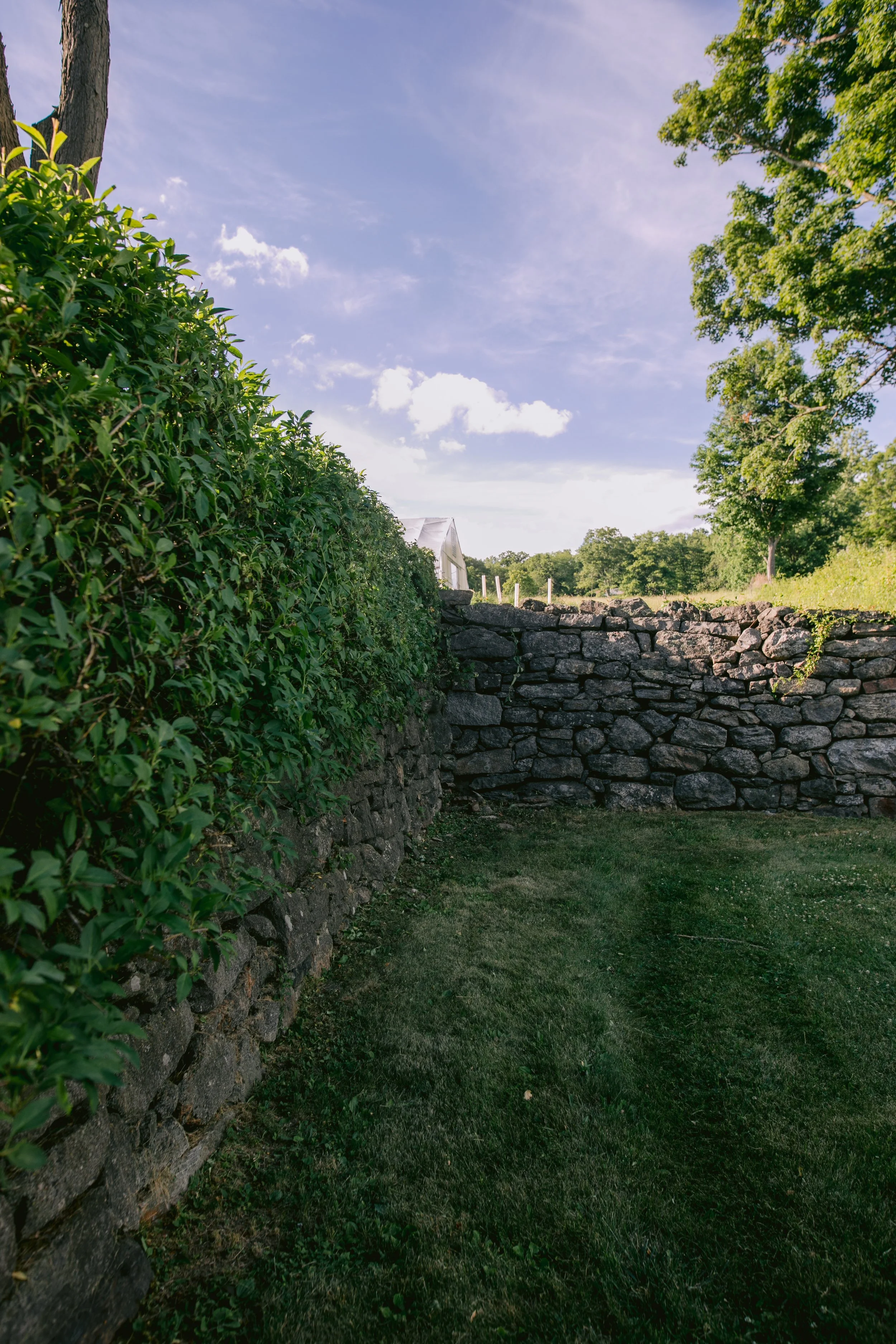 1209_260616.jpg