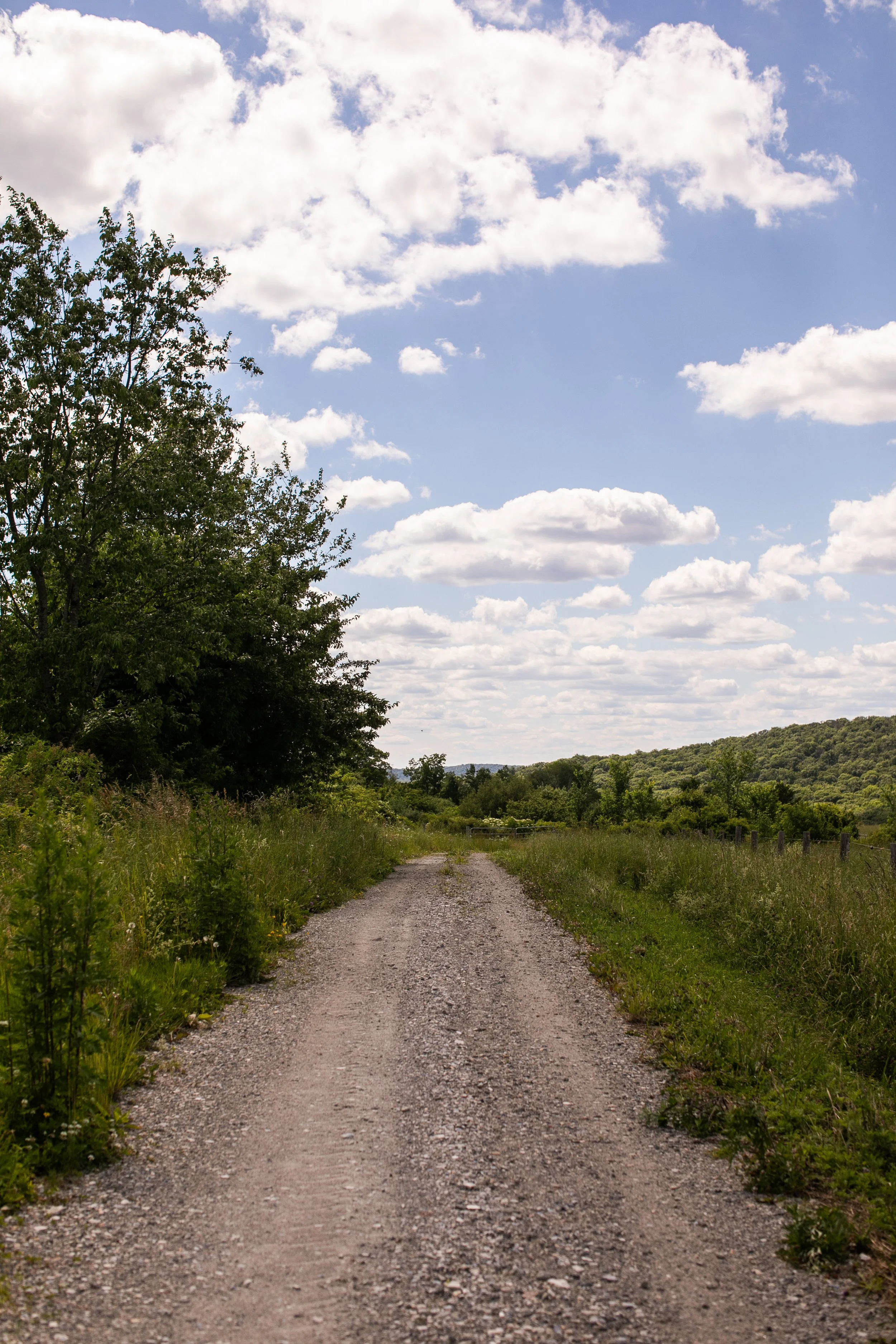 0065_260616.jpg