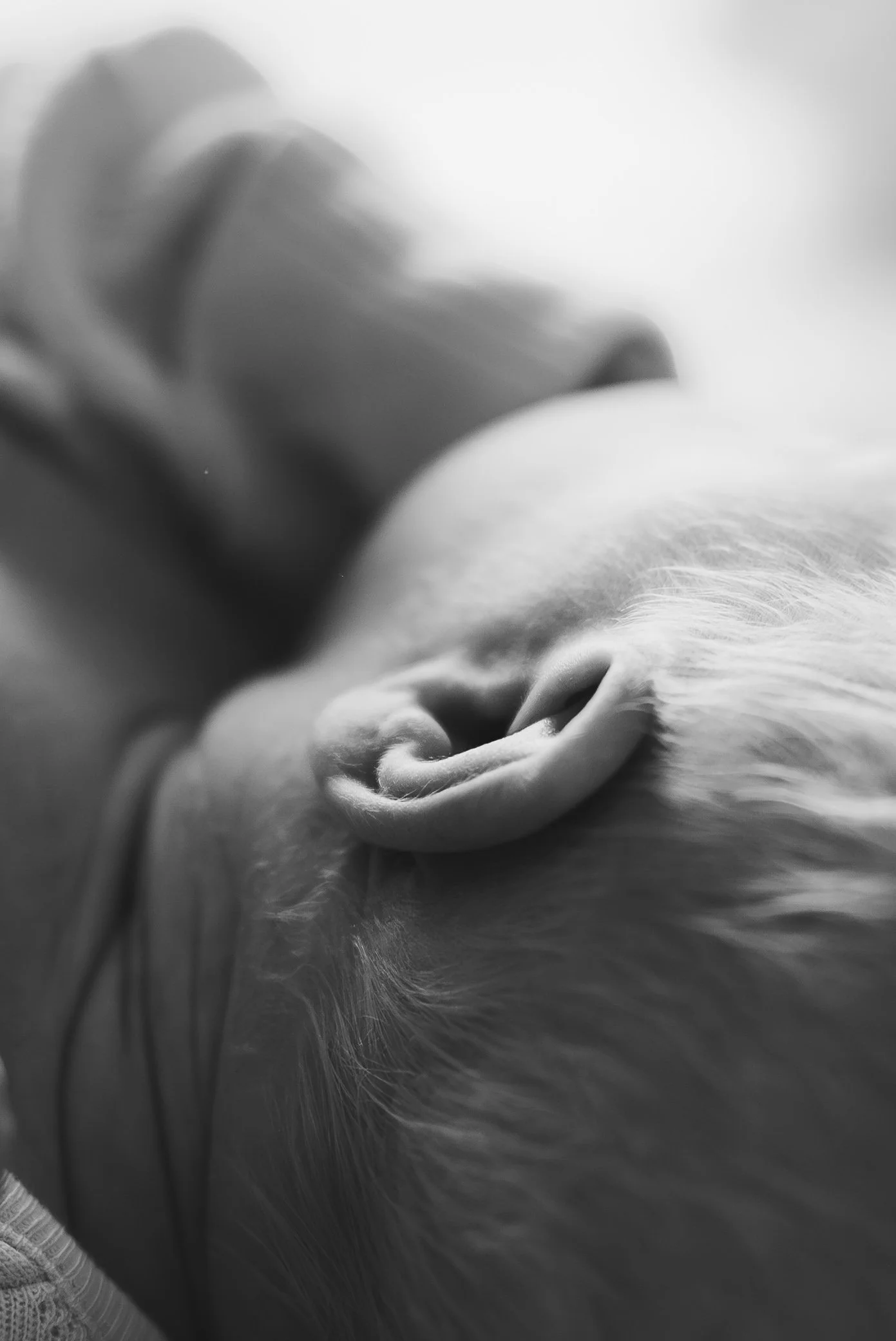 A close-up, black-and-white photograph of a person sleeping, focusing on their ear and part of their face with smooth skin and light-colored hair.
