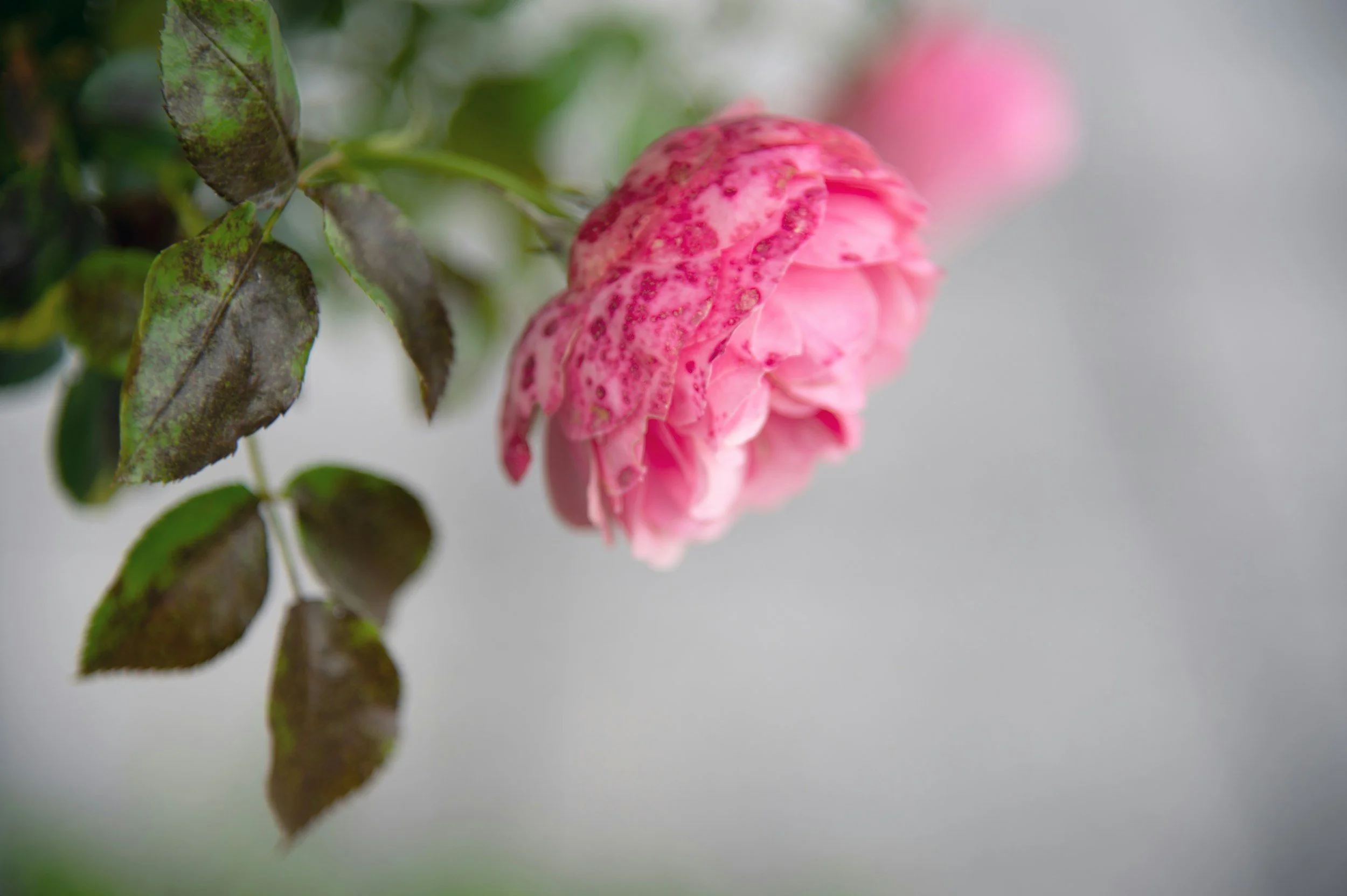 What Grief Actually Is — And Why It's So Much More Than Sadness