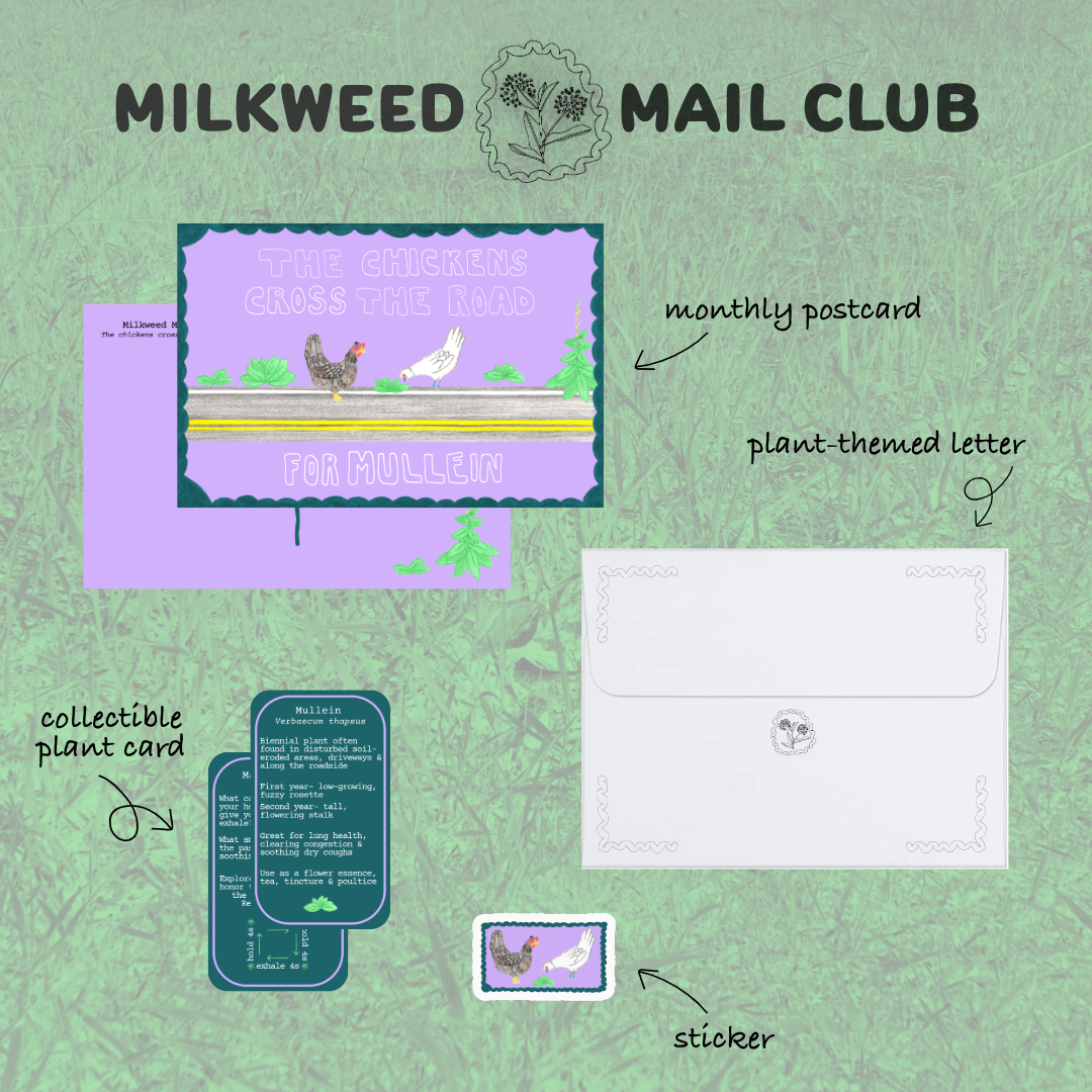 Untitled-5-3.png