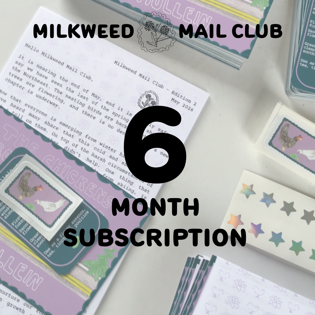 6 Month Subscription