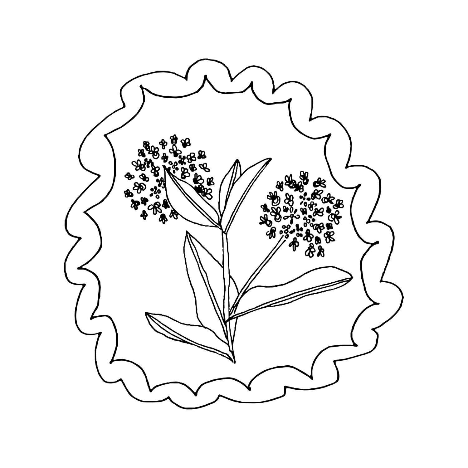 MILKWEED MAIL CLUB
