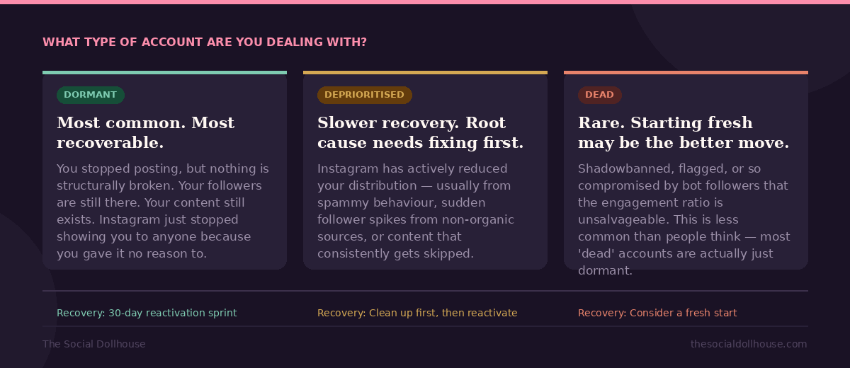 Instagram account types comparison — dormant vs deprioritised vs dead and how to recover each