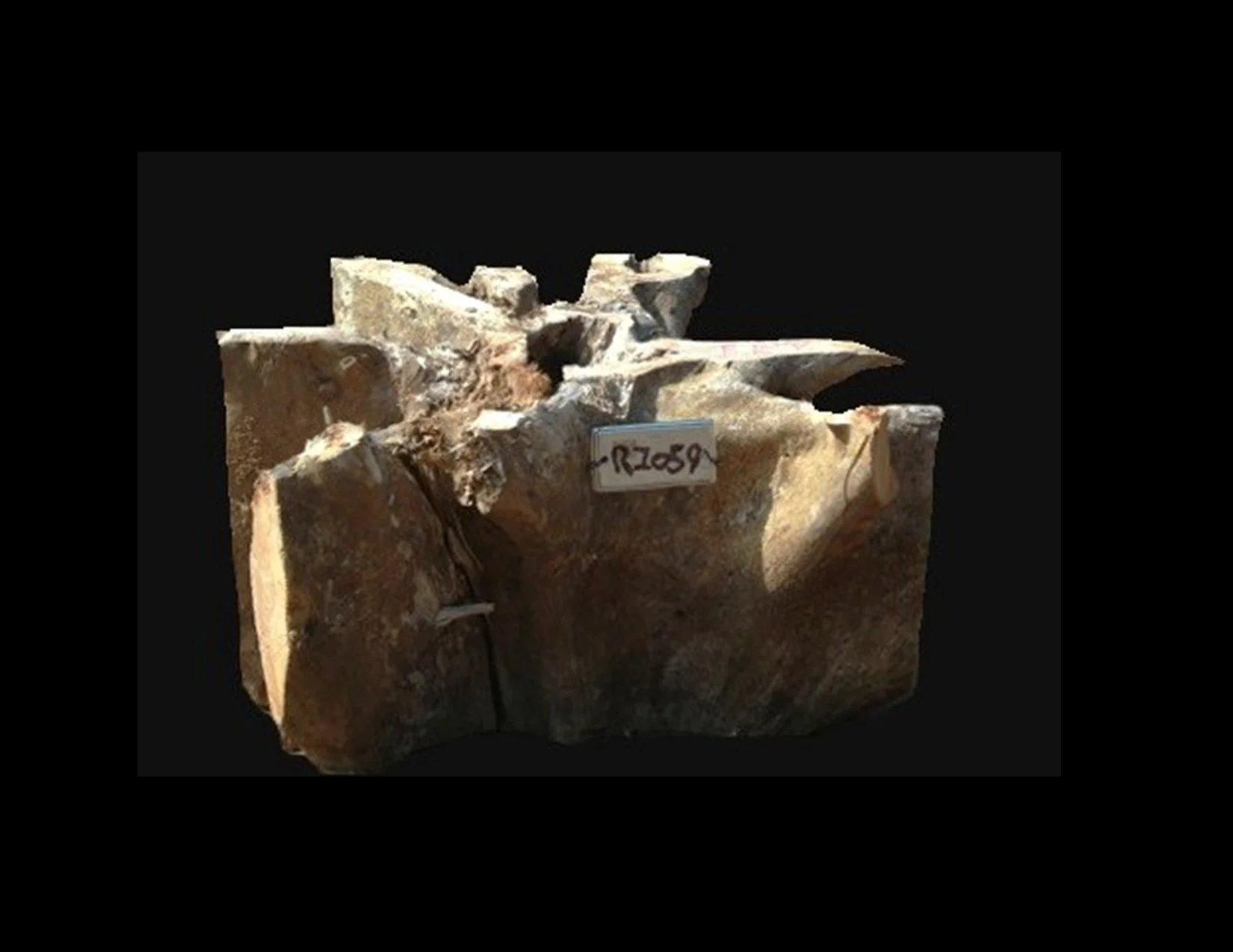 Teak Roots - R1059TEA - 19” L x 16” W x 13” T - 27 BF