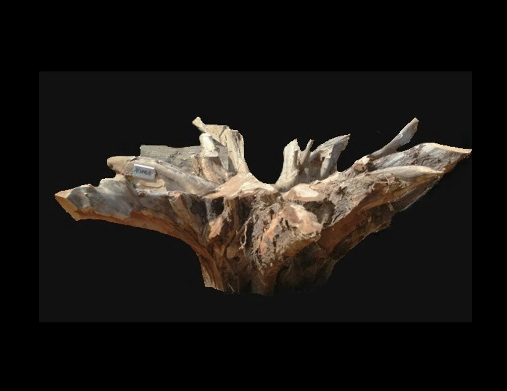 Teak Roots -R1058TEA - 30” L x 28” W x 16” T - 93 BF
