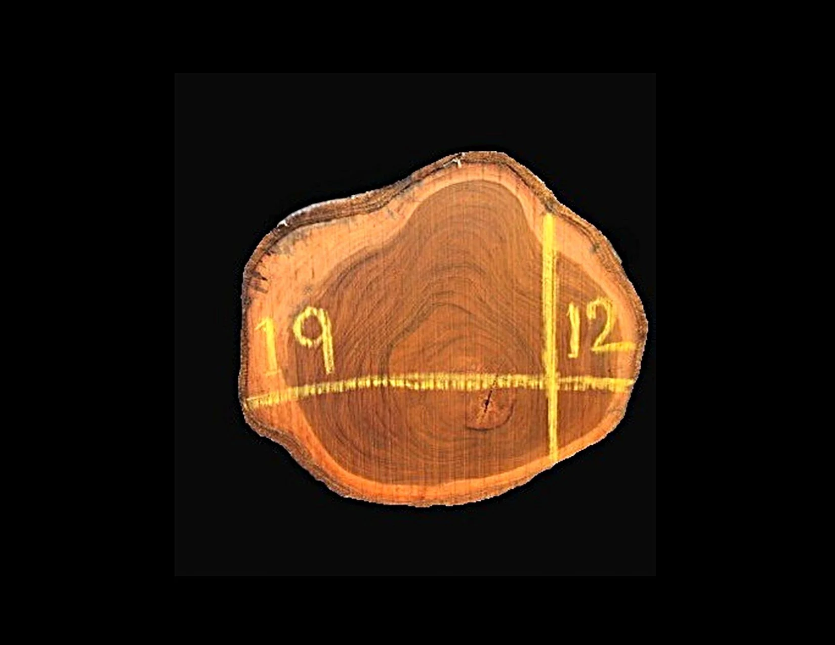 Teak Round Crosscut - H1282TEA - 19” L x 12” W x 2” T - 3 BF