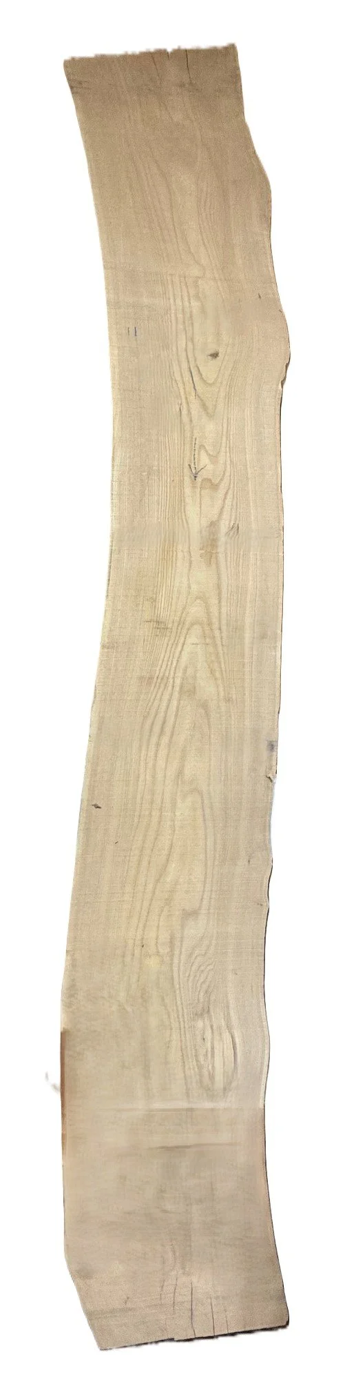 Siberian Elm Live Edge Slab