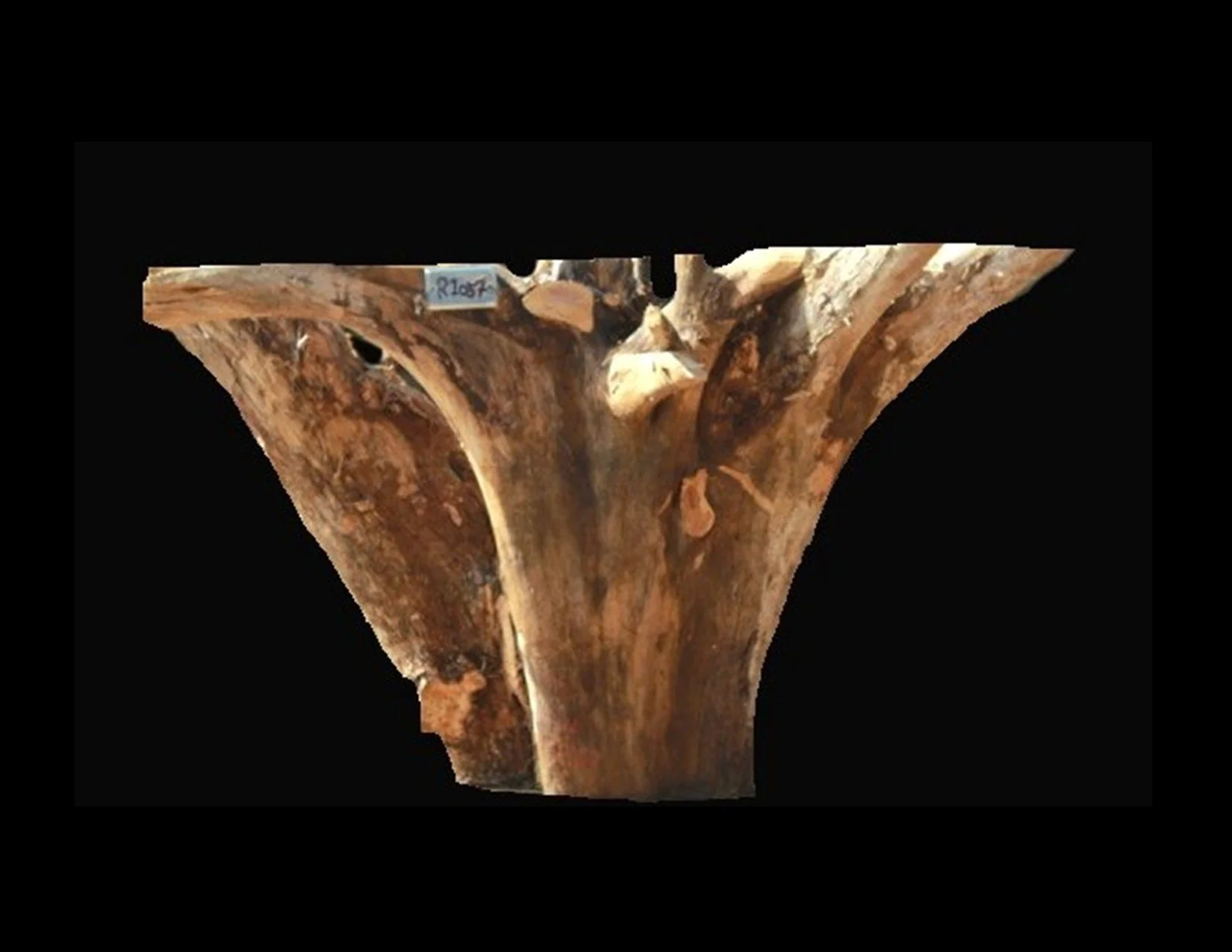 Teak Roots -R1057TEA - 22” L x 15” W x 30” T - 69 BF
