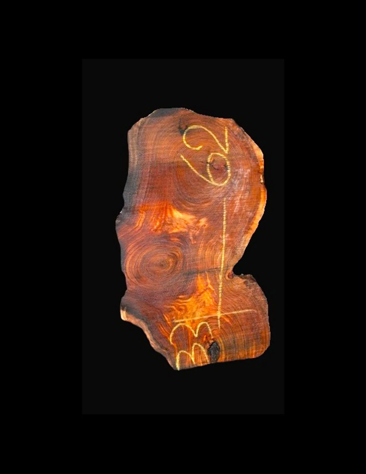 Parota Live Edge Slab - G1028GNC - 62” L x 33” W x 3” T - 43 BF